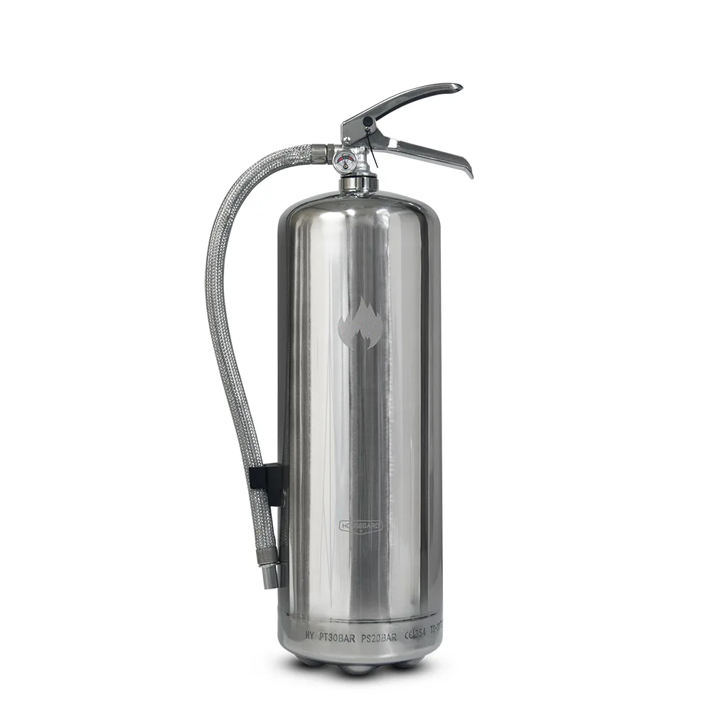Pulversläckare Housegard 6 kg Silver Silver