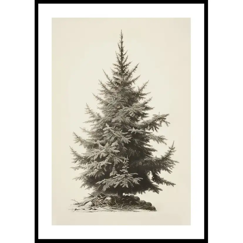 Poster Gallerix Vintage Fir Tree