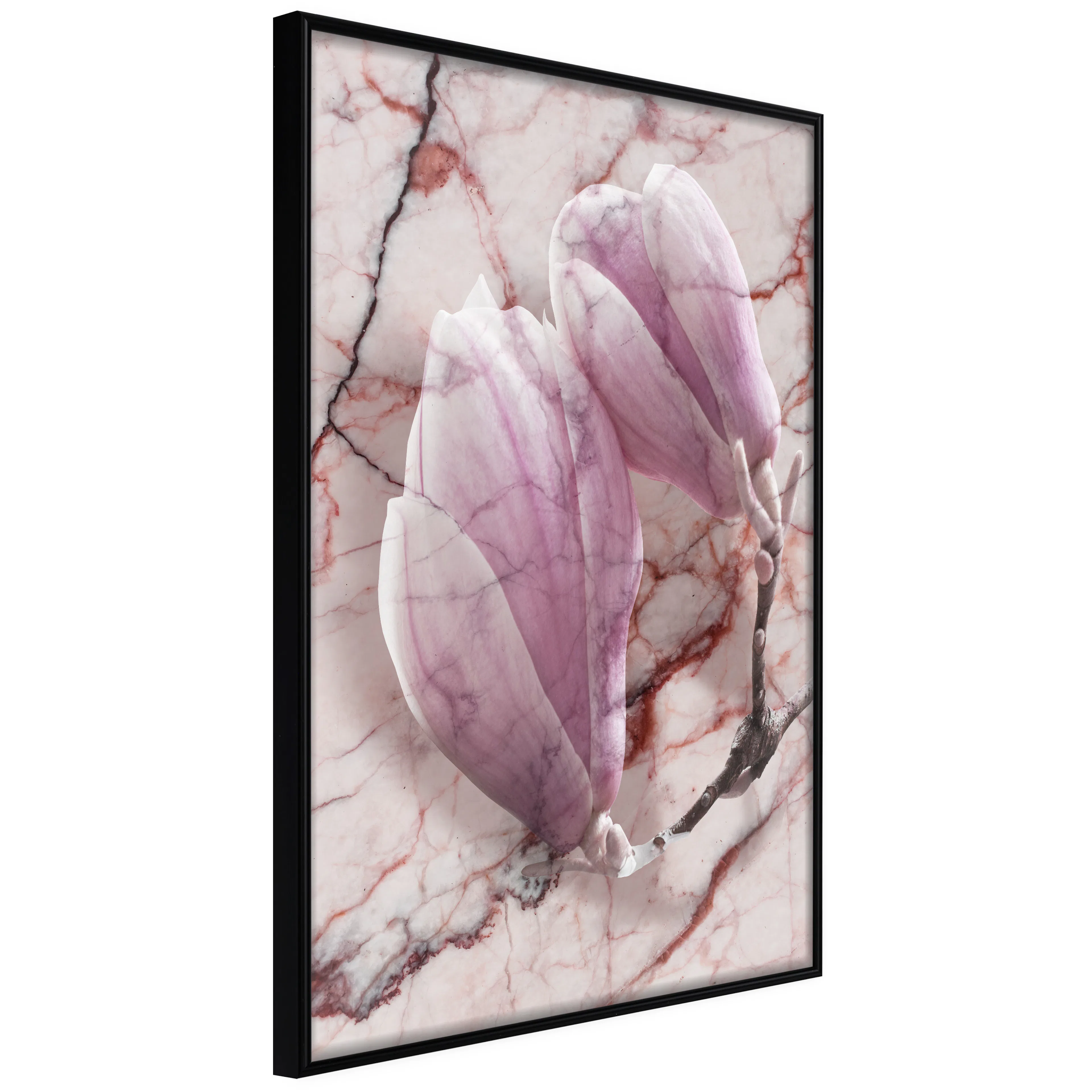 Affisch - Marble Magnolia [Poster] 40x60 Svart ram, 40x60 cm