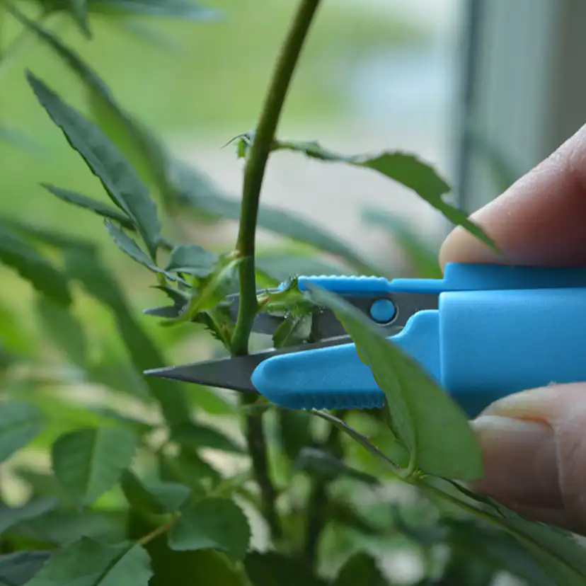 Sekatör Omnia Garden Mini Snip It Blandade Färger