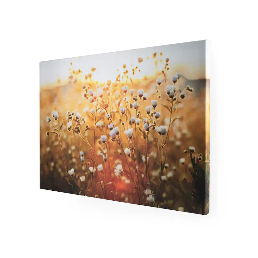 Tavla Art for the Home Fieldflower 70x100