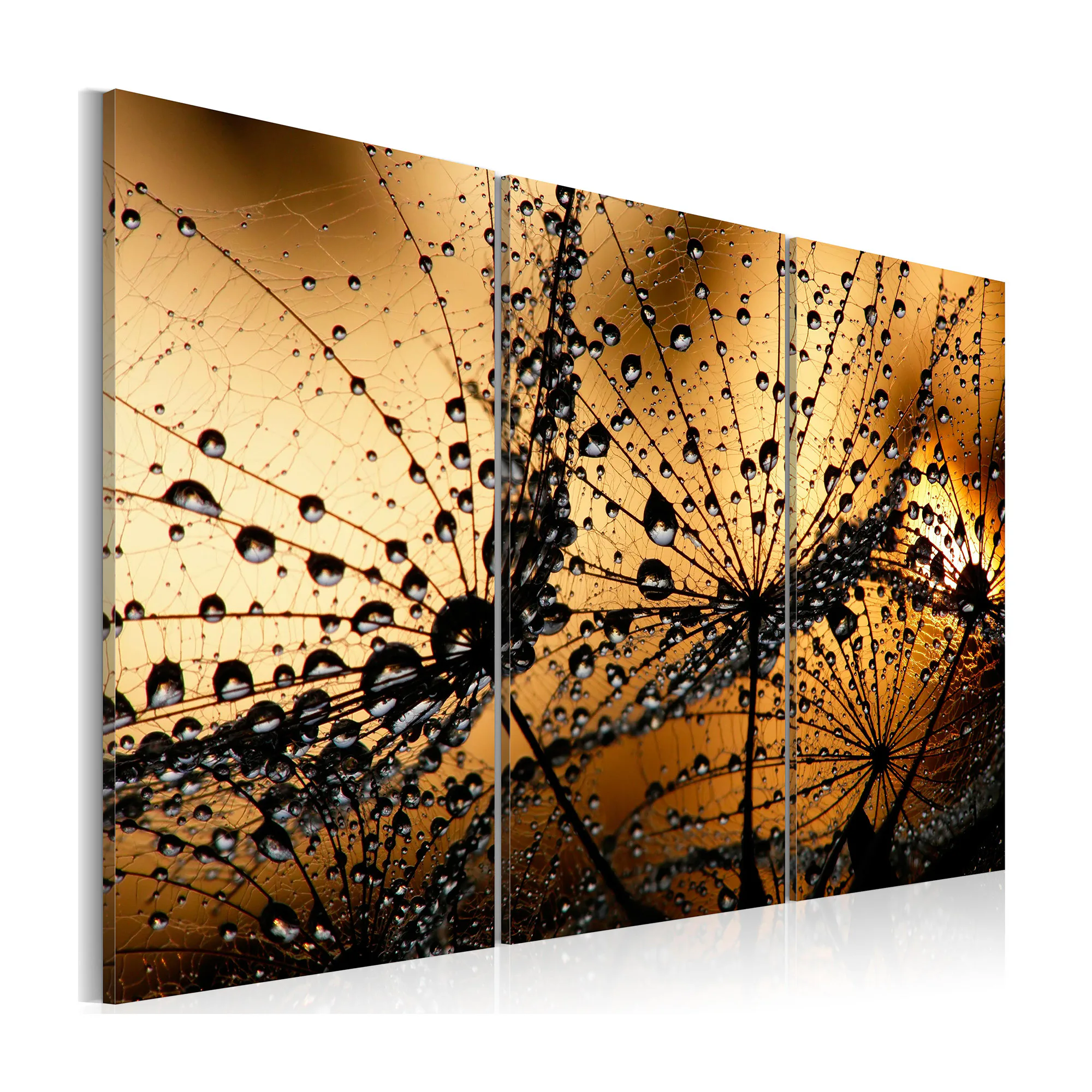 Tavla Arkiio Dandelions And Dew