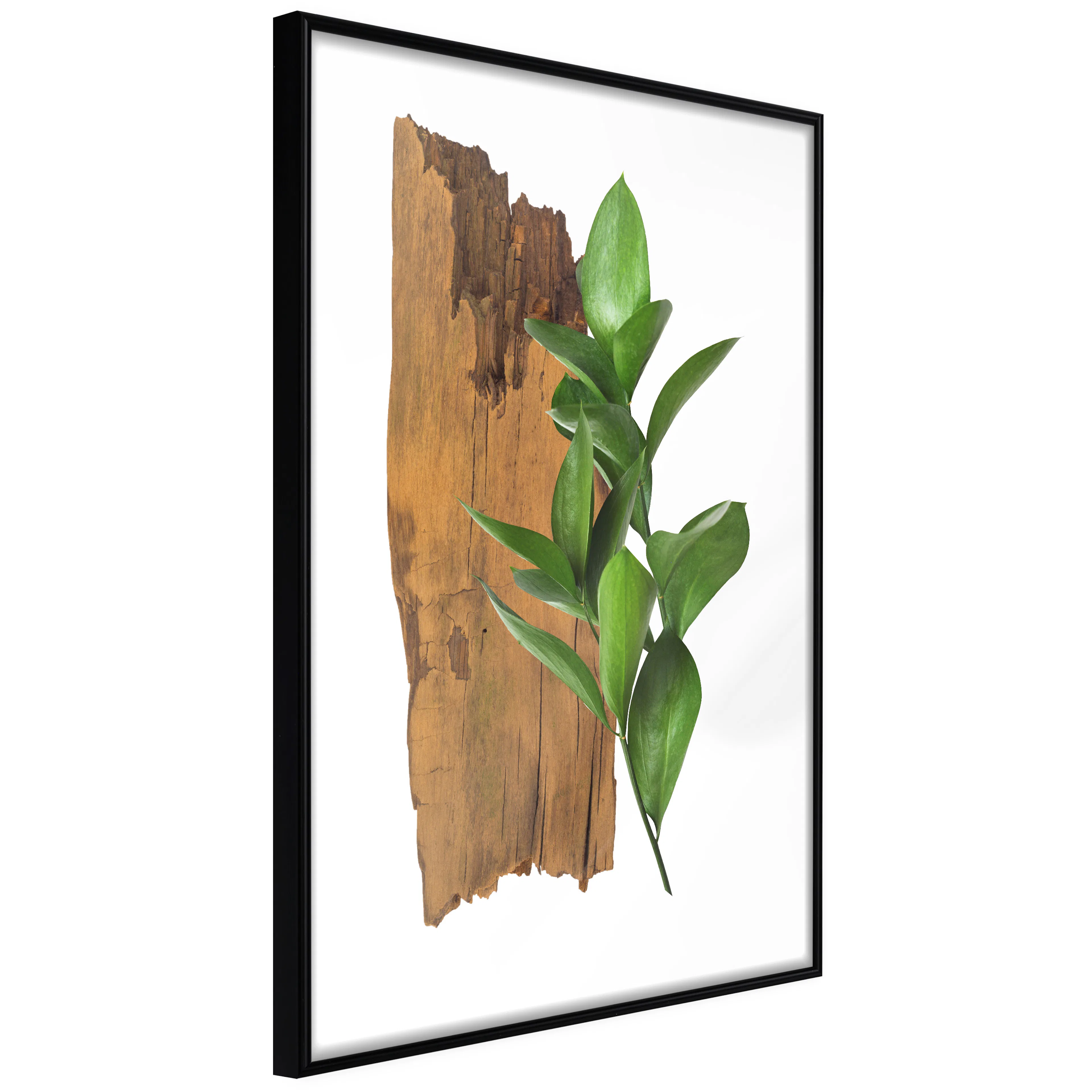 Affisch - Fascinating Nature [Poster] 40x60 Svart ram, 40x60 cm