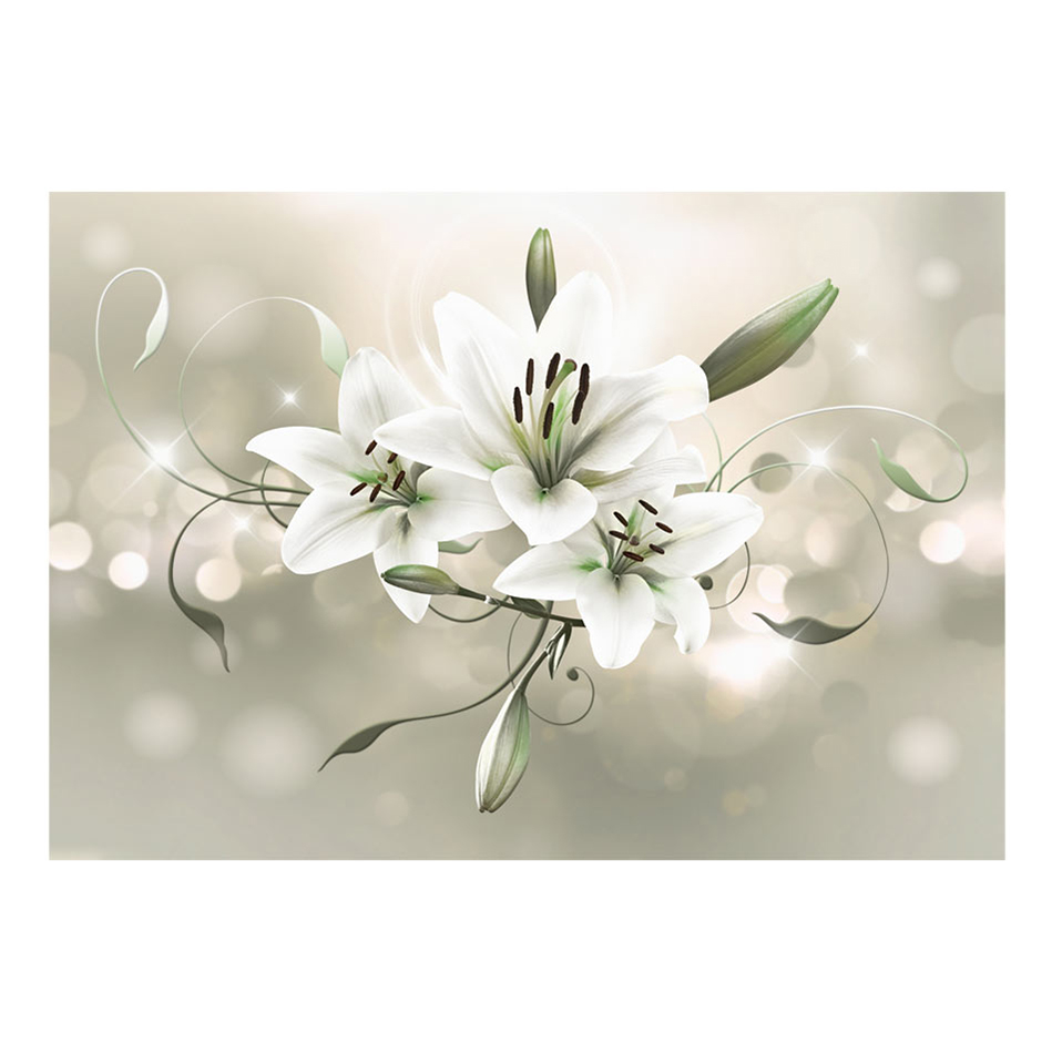 Fototapet Arkiio Lily Flower Of Masters