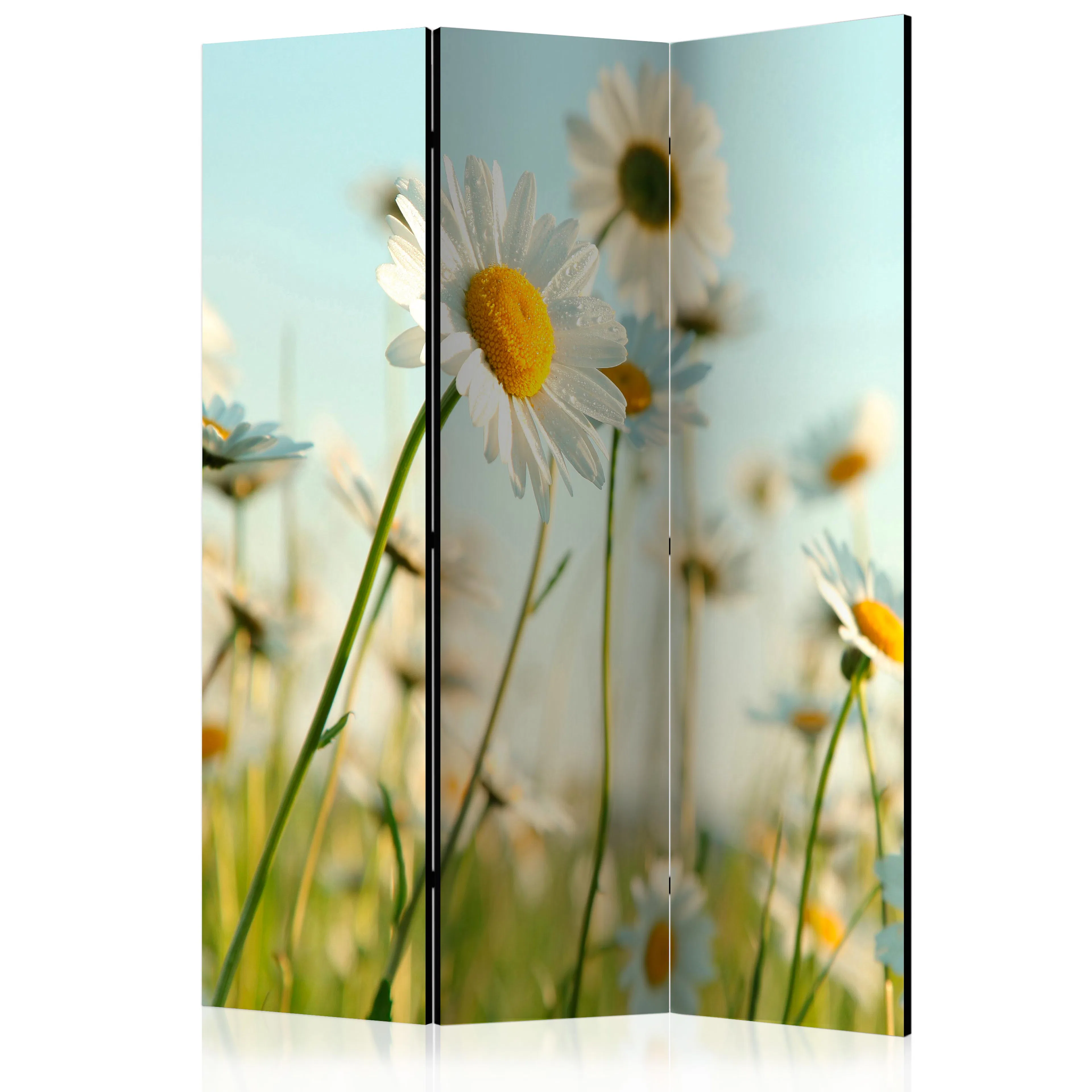 Rumsavdelare Arkiio Daisies Spring Meadow 135x172 cm
