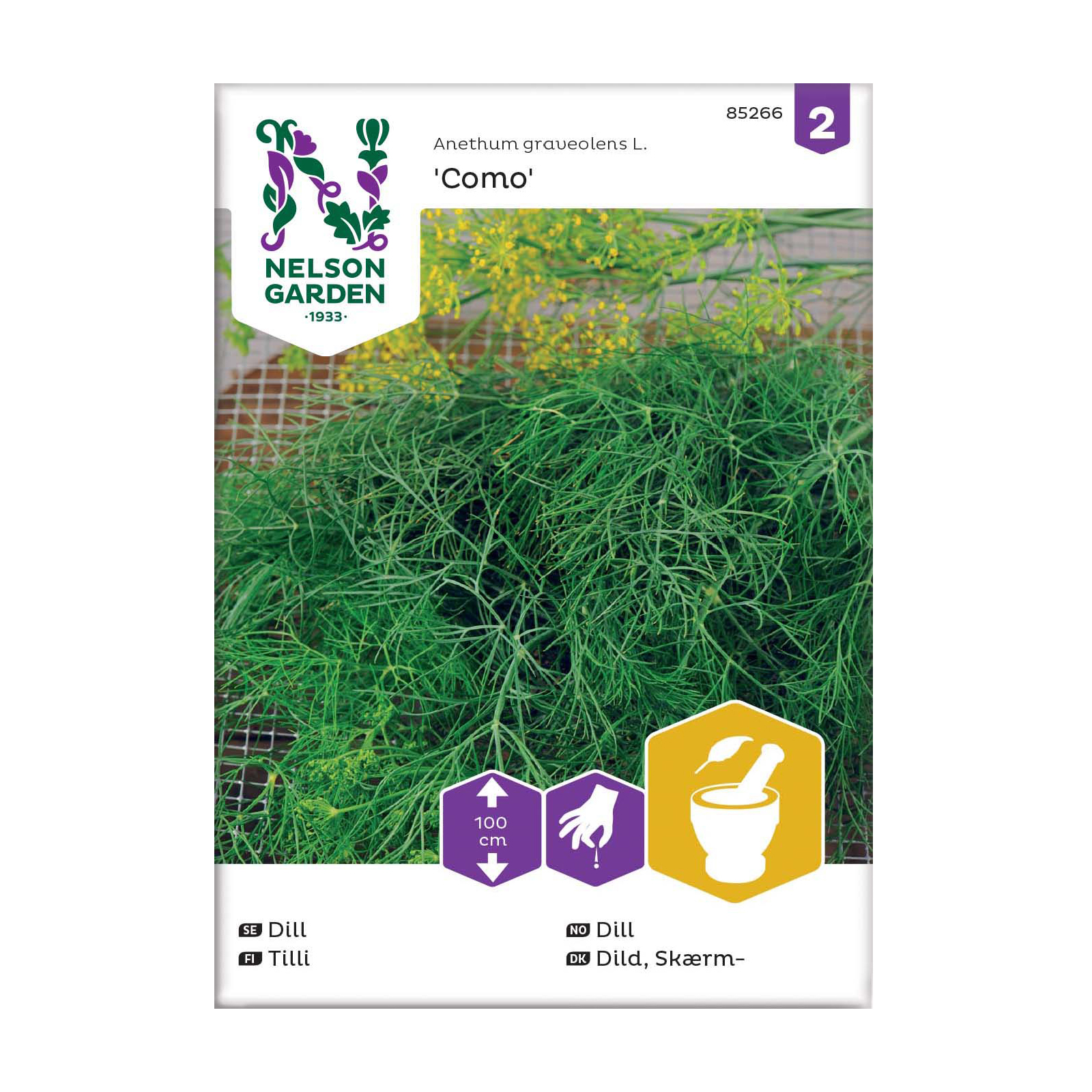 Frö Dill Nelson Garden Como