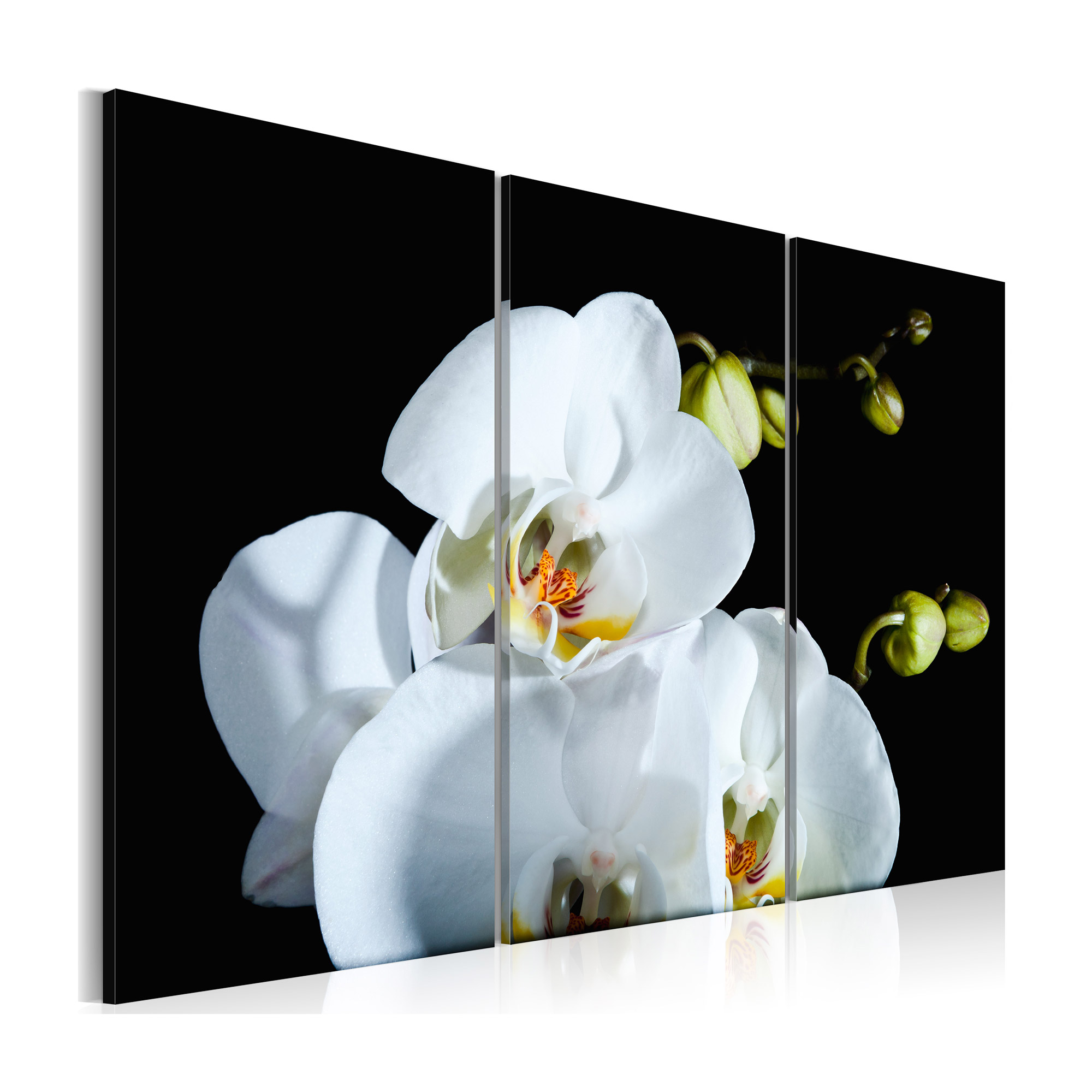 Tavla Arkiio Snöig Orkidé