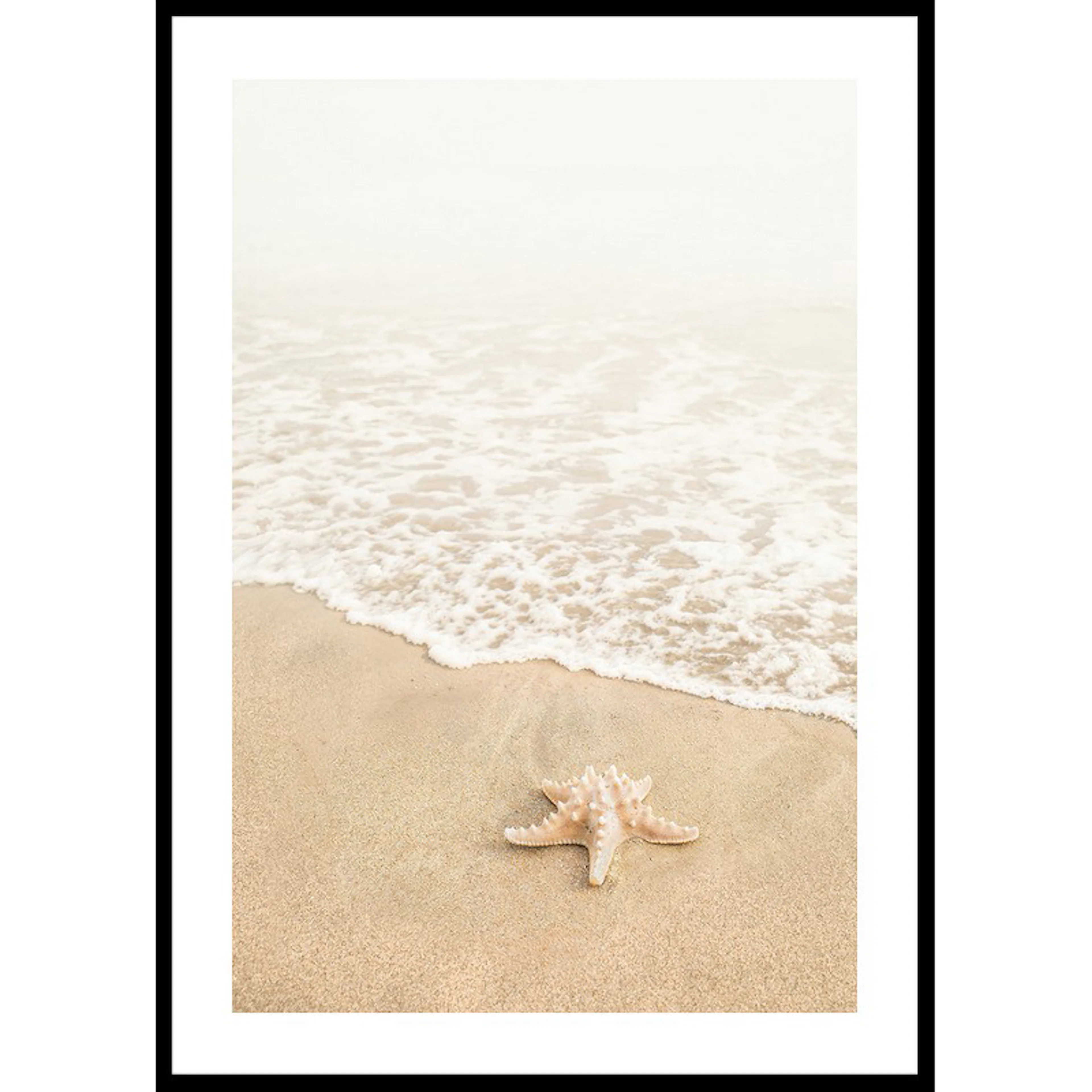 Shoreline Starfish 30x40 30x40 cm