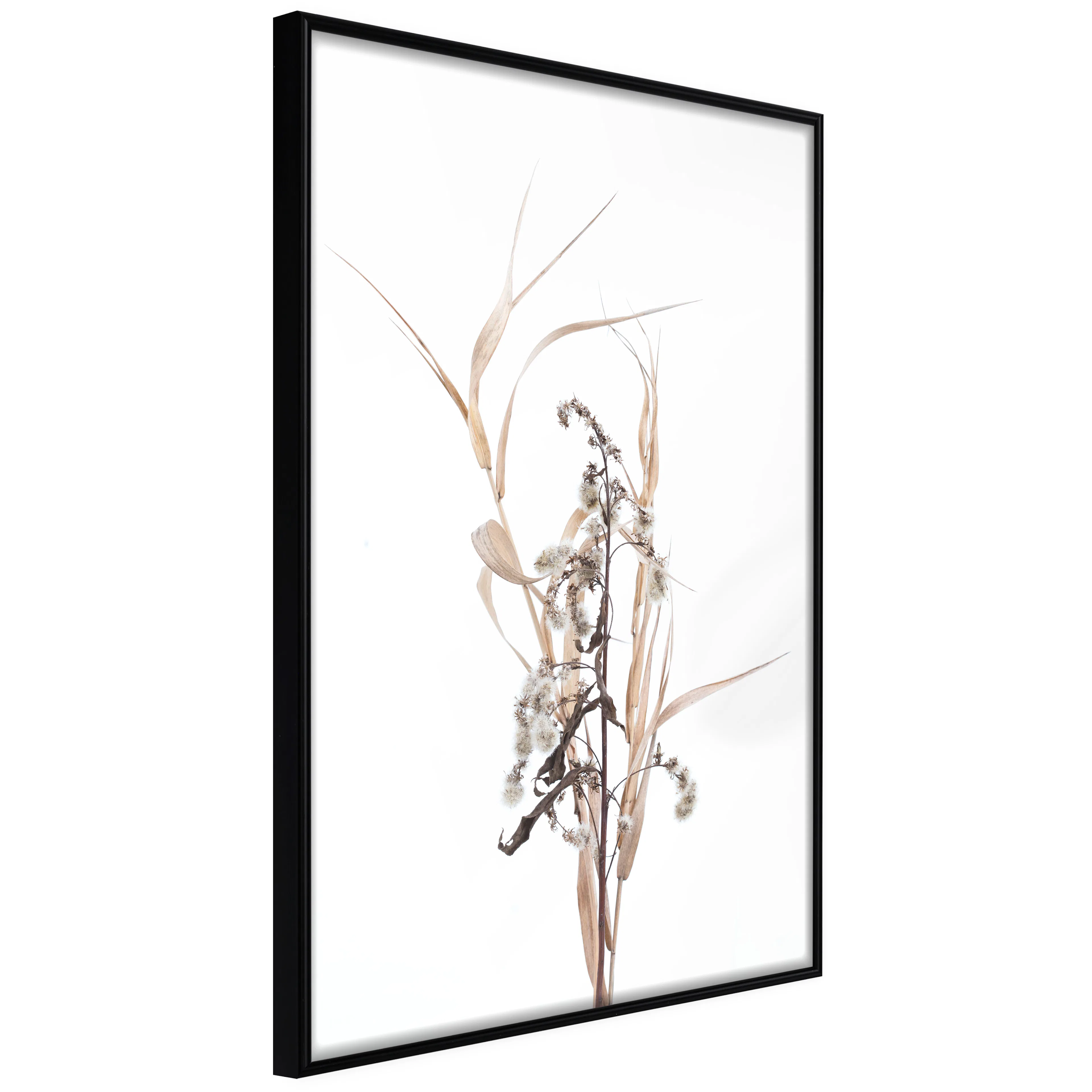 Affisch - Composition of Herbs [Poster] 40x60 Svart ram, 40x60 cm