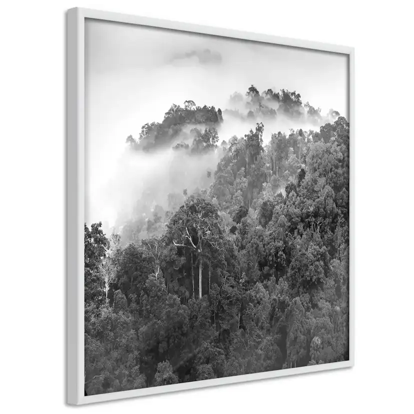 Poster Artgeist Affisch Rainforest