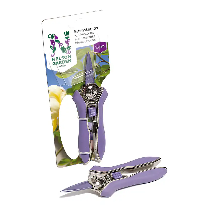 Blomstersax Nelson Garden 15 cm