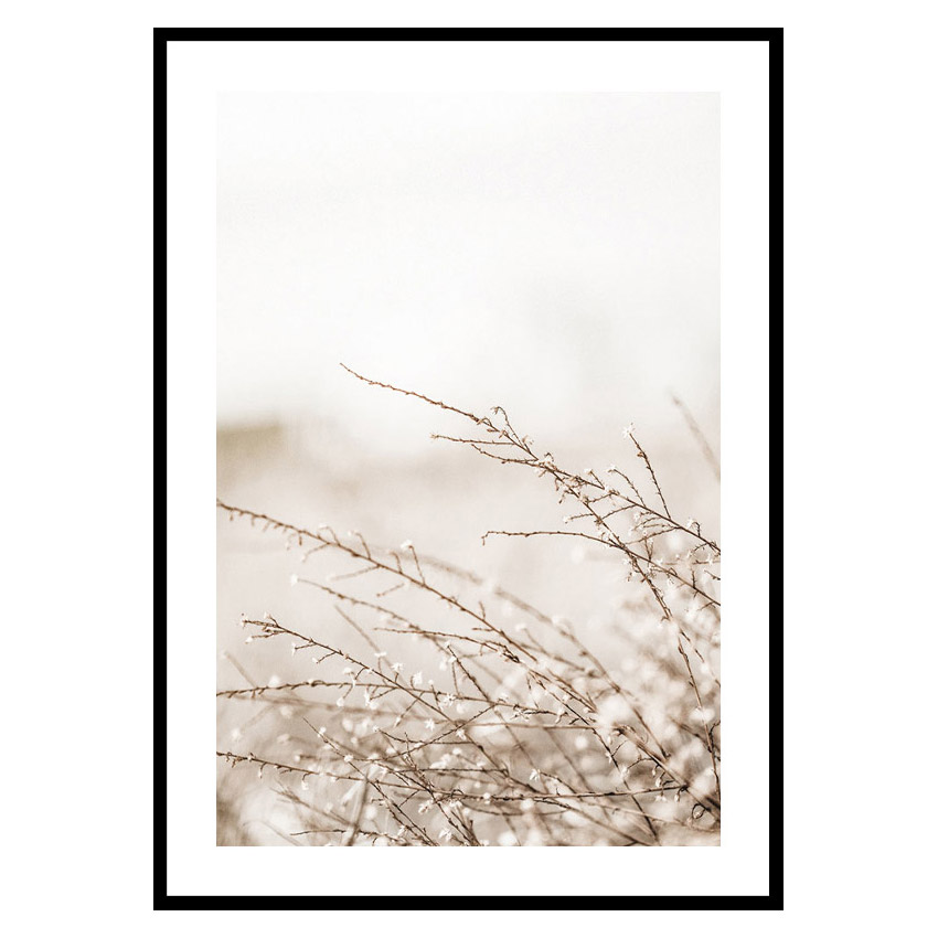Poster Gallerix Branches
