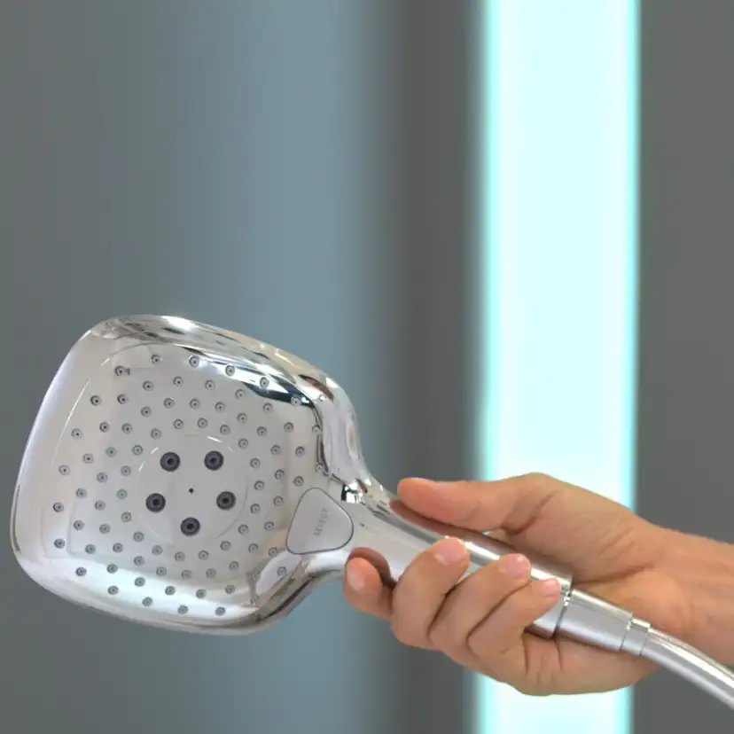 Handdusch Hansgrohe Raindance Select