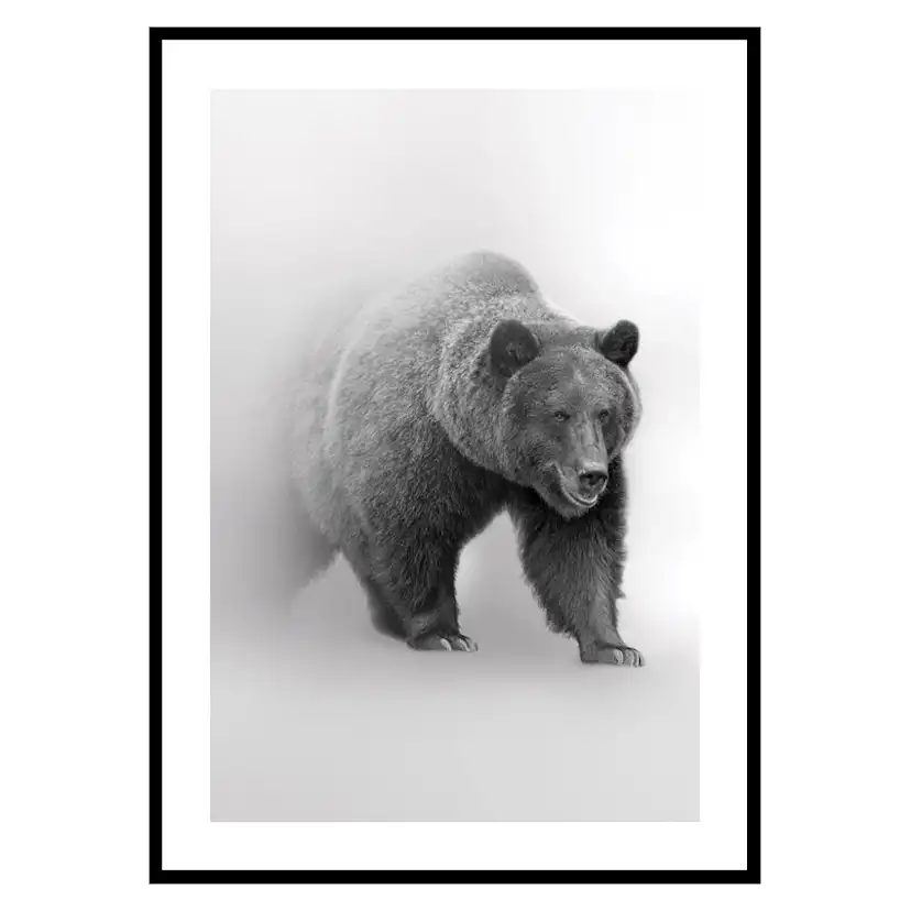 Poster Gallerix Faded Bear