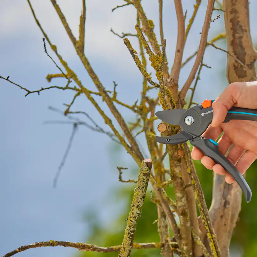 Sekatör Gardena PremiumCut Pro Mothåll