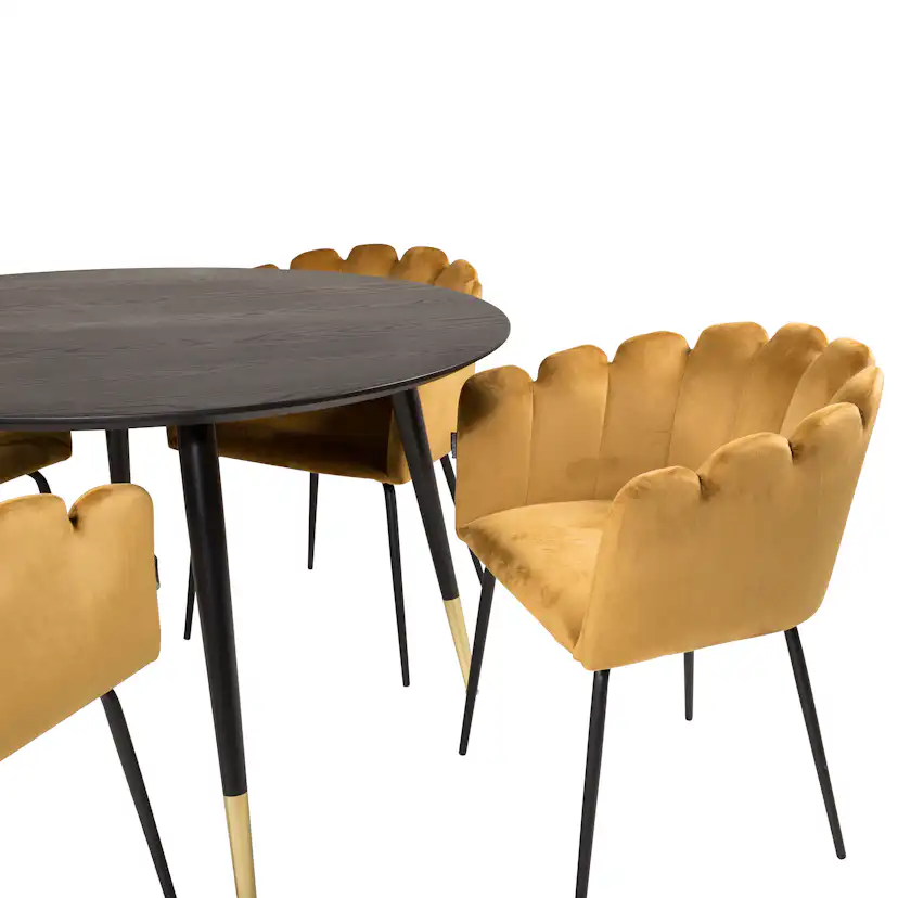 Matgrupp furniture/fashion Disa med 4 Limhamn Stolar