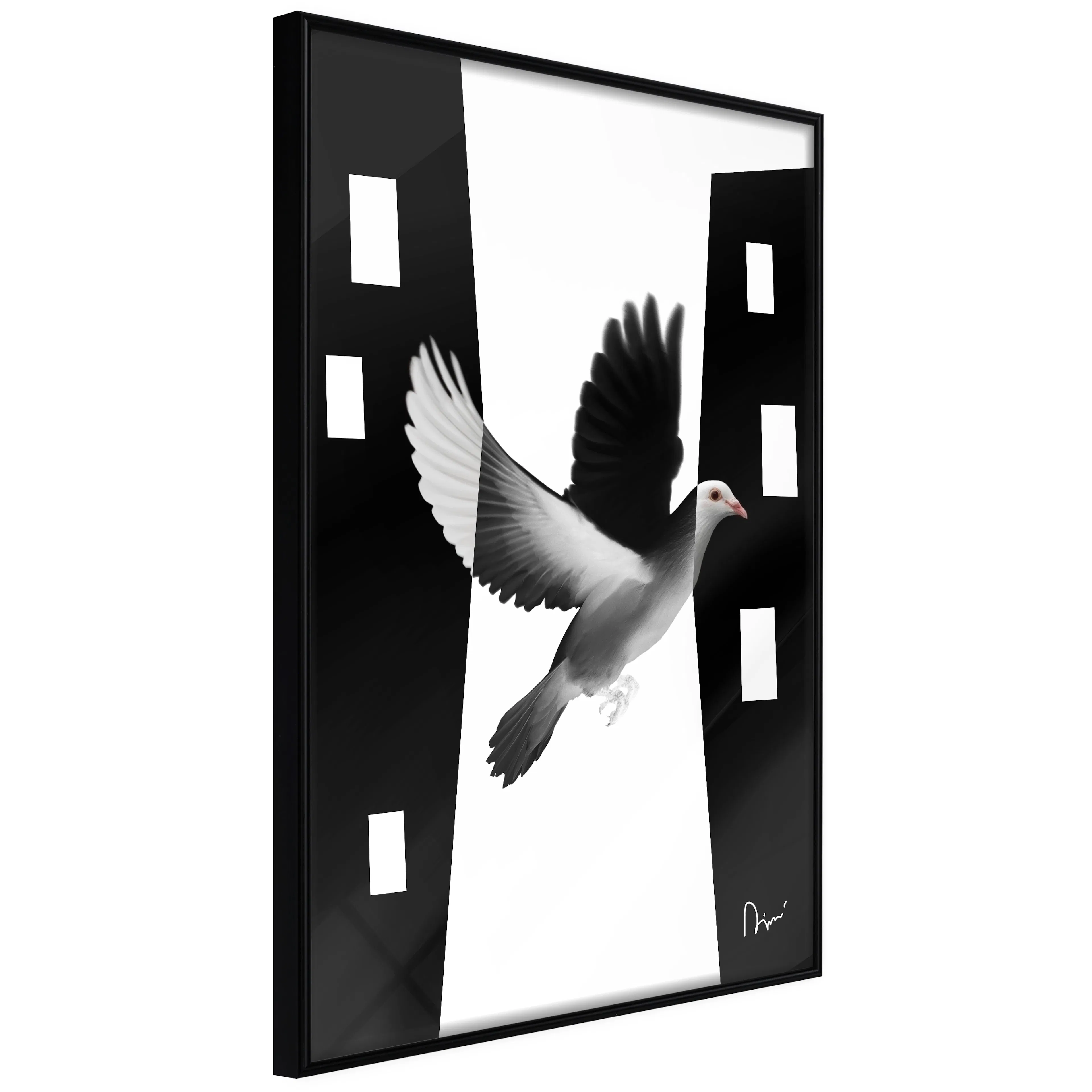 Affisch - White Dove [Poster] 40x60 Svart ram, 40x60 cm