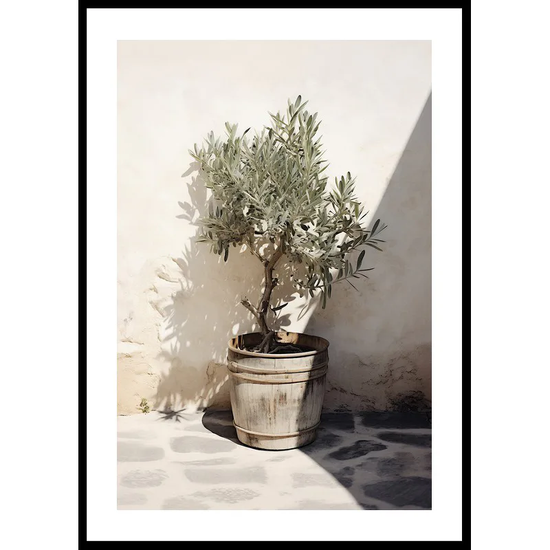 Poster Gallerix Olive Tree Mediterranean No2
