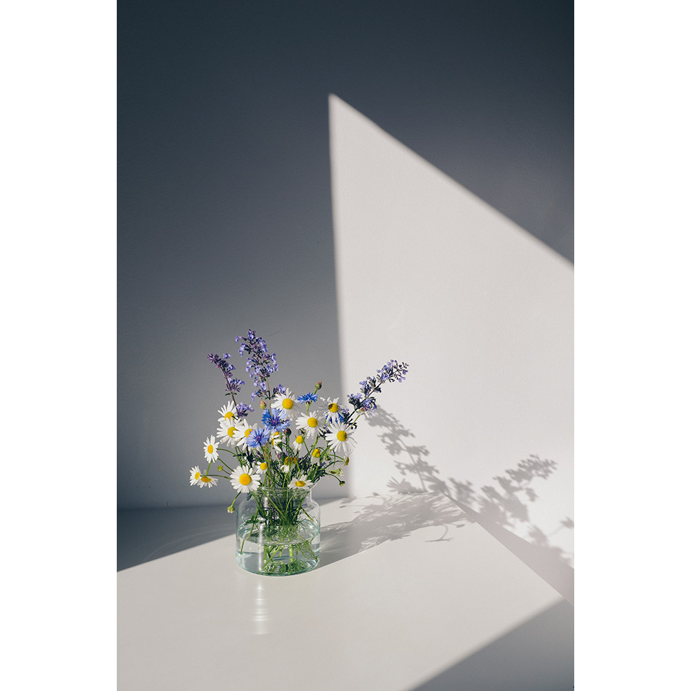 Posters Venture Home Flowers Vit