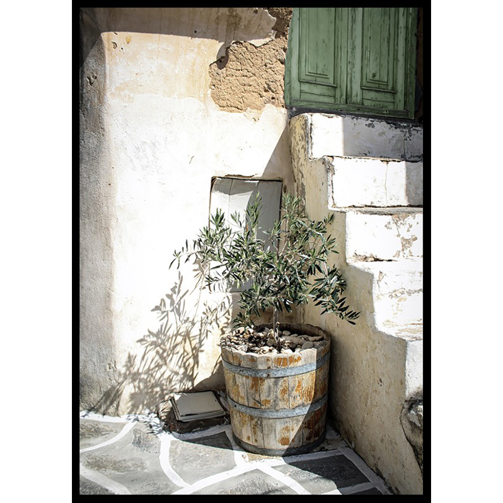 Poster Gallerix Olive Tree Entrance