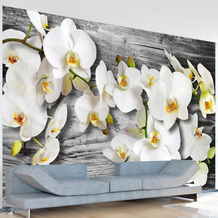 Fototapet Arkiio Callous Orchids III