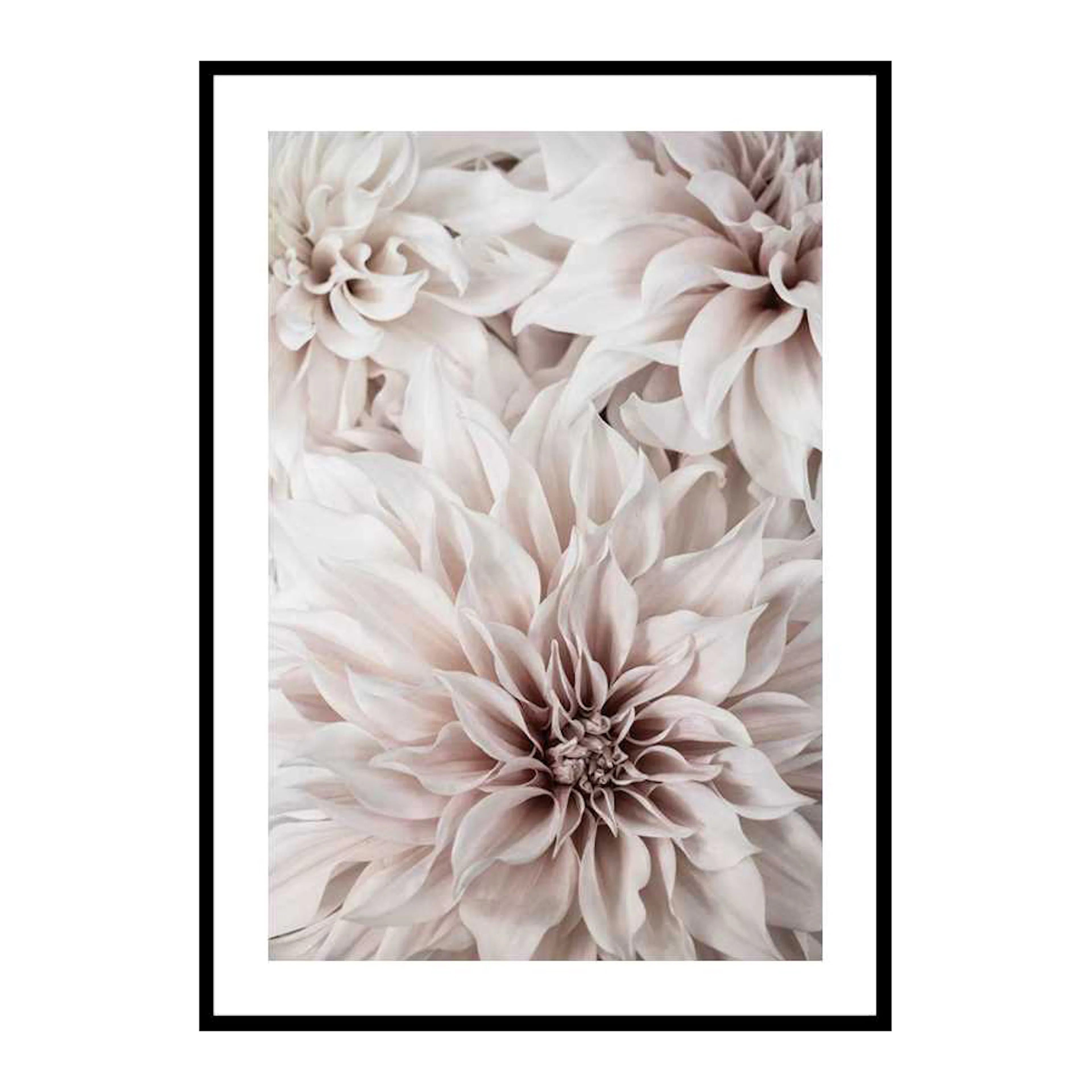 Pink Shaded Flowers 30x40 cm