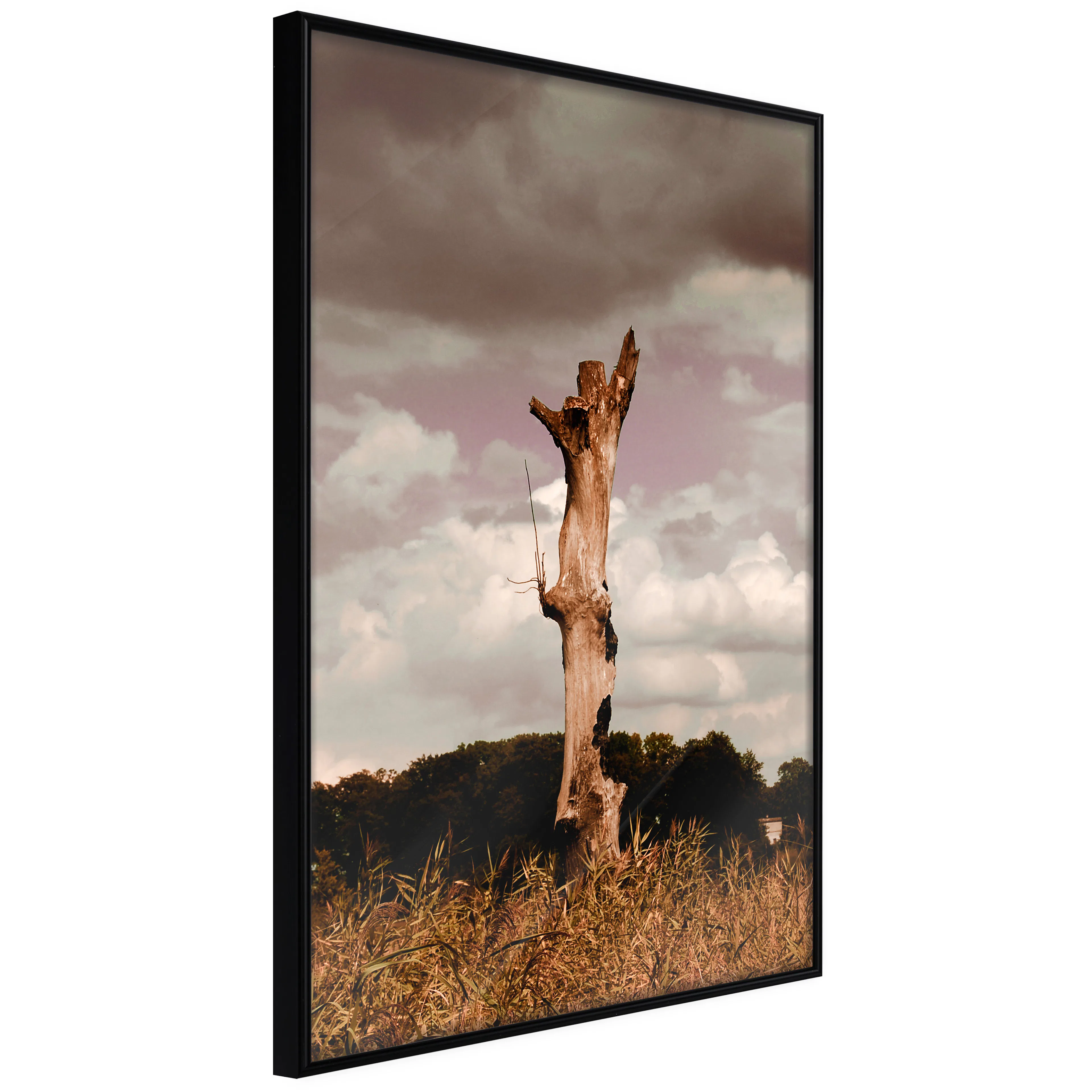 Affisch - Memory of Heaven [Poster] 40x60 Svart ram, 40x60 cm