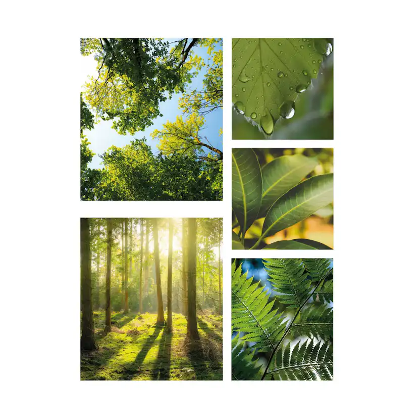 Tavla Art For The Home 5 Delar Tystnad Grön