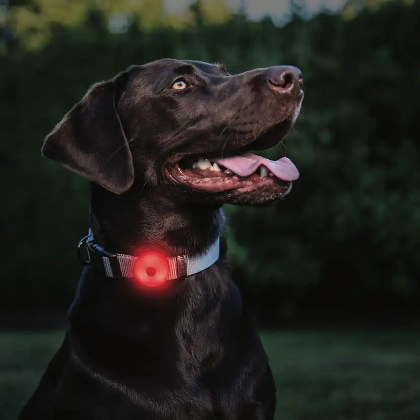 Säkerhetslampa Coast SL1 Röd