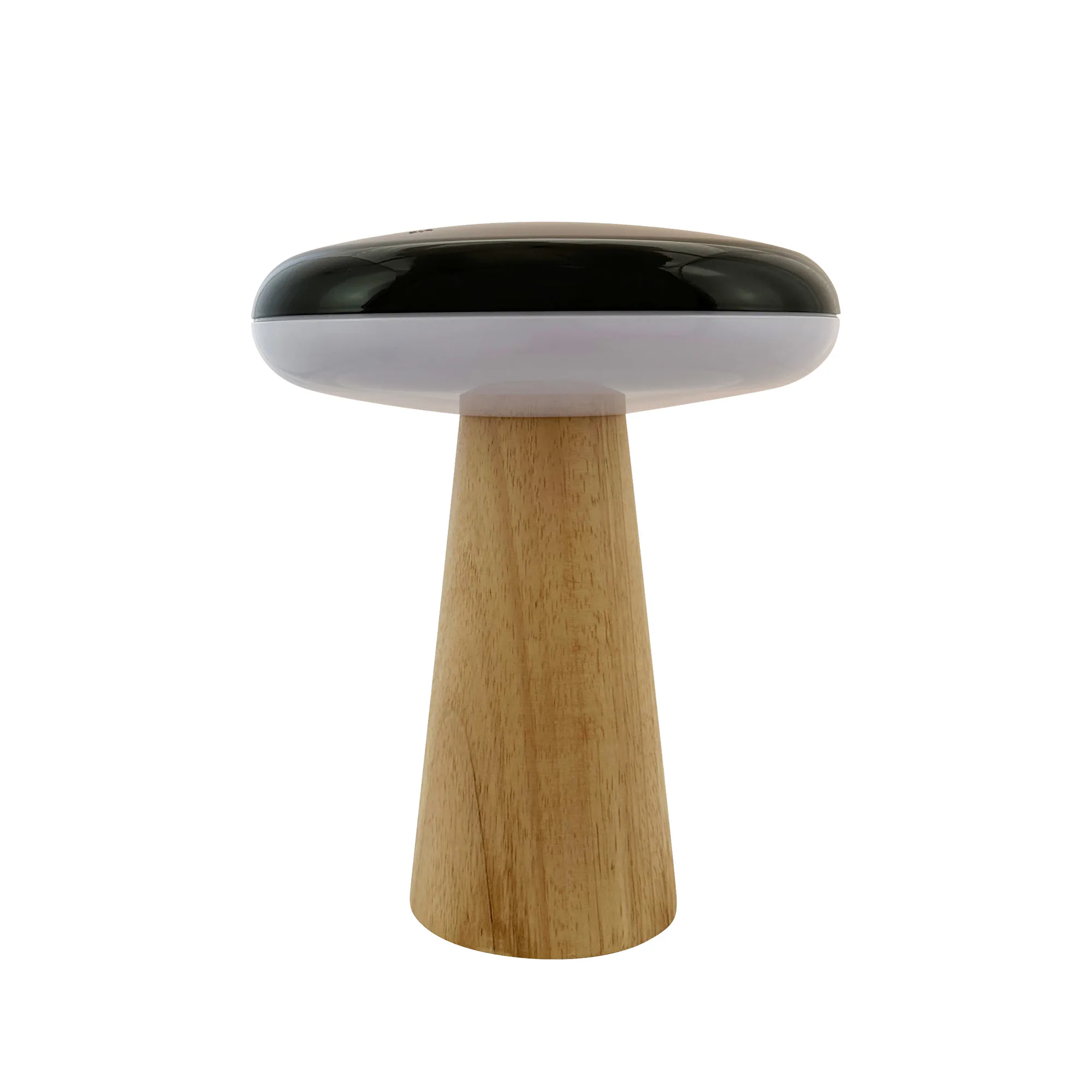 Bordslampa Dyberg Larsen 2 Ways