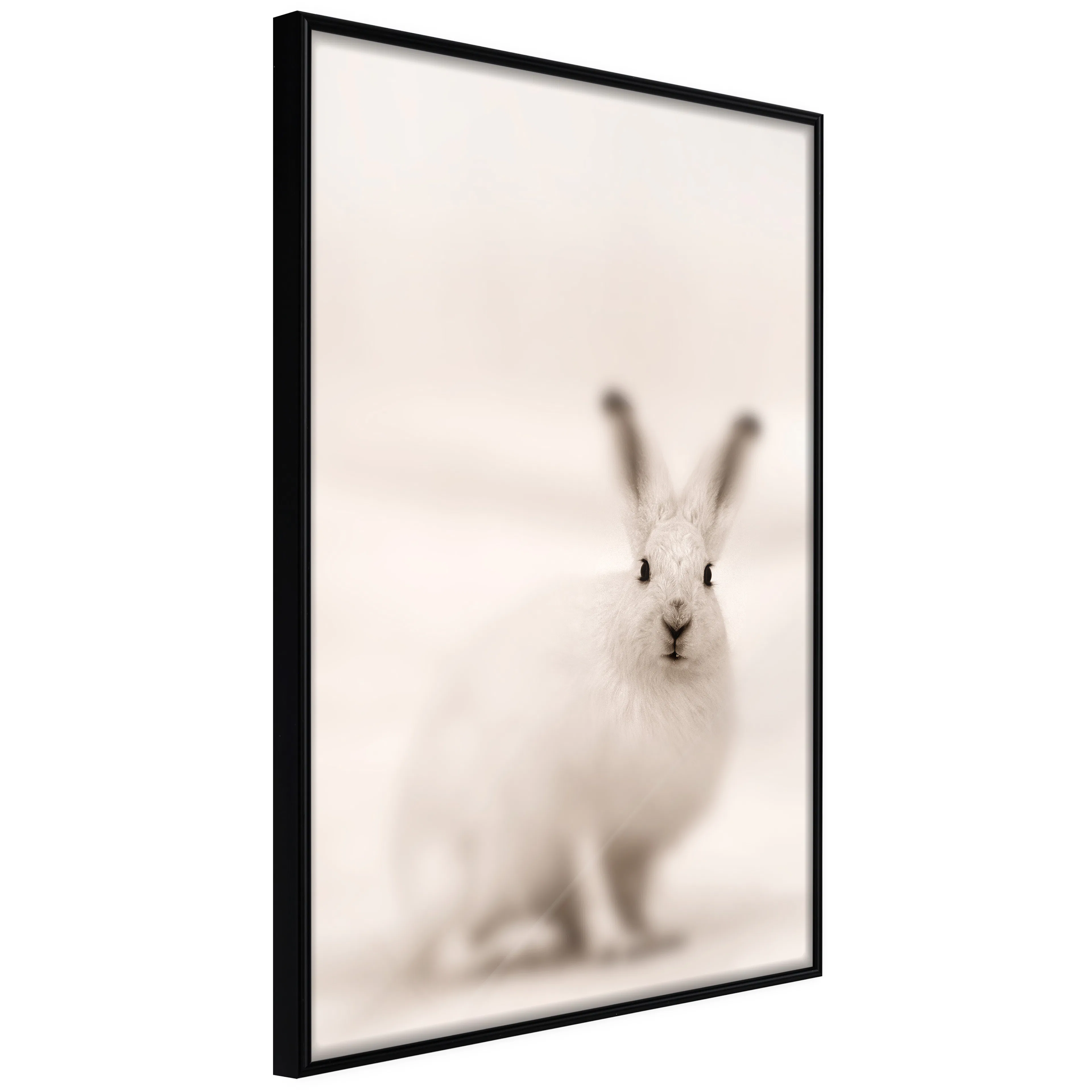Affisch - Fearful Look [Poster] 40x60 Svart ram, 40x60 cm
