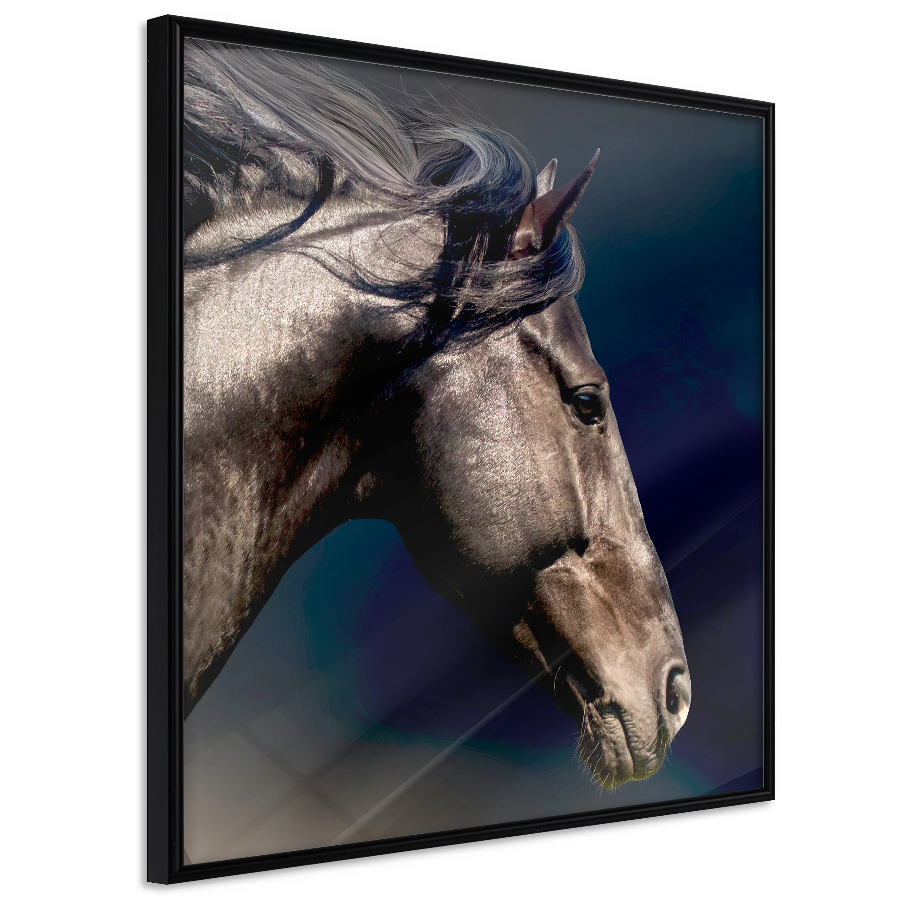 Affisch - Majesty [Poster] 20x20 Svart ram, 20x20 cm