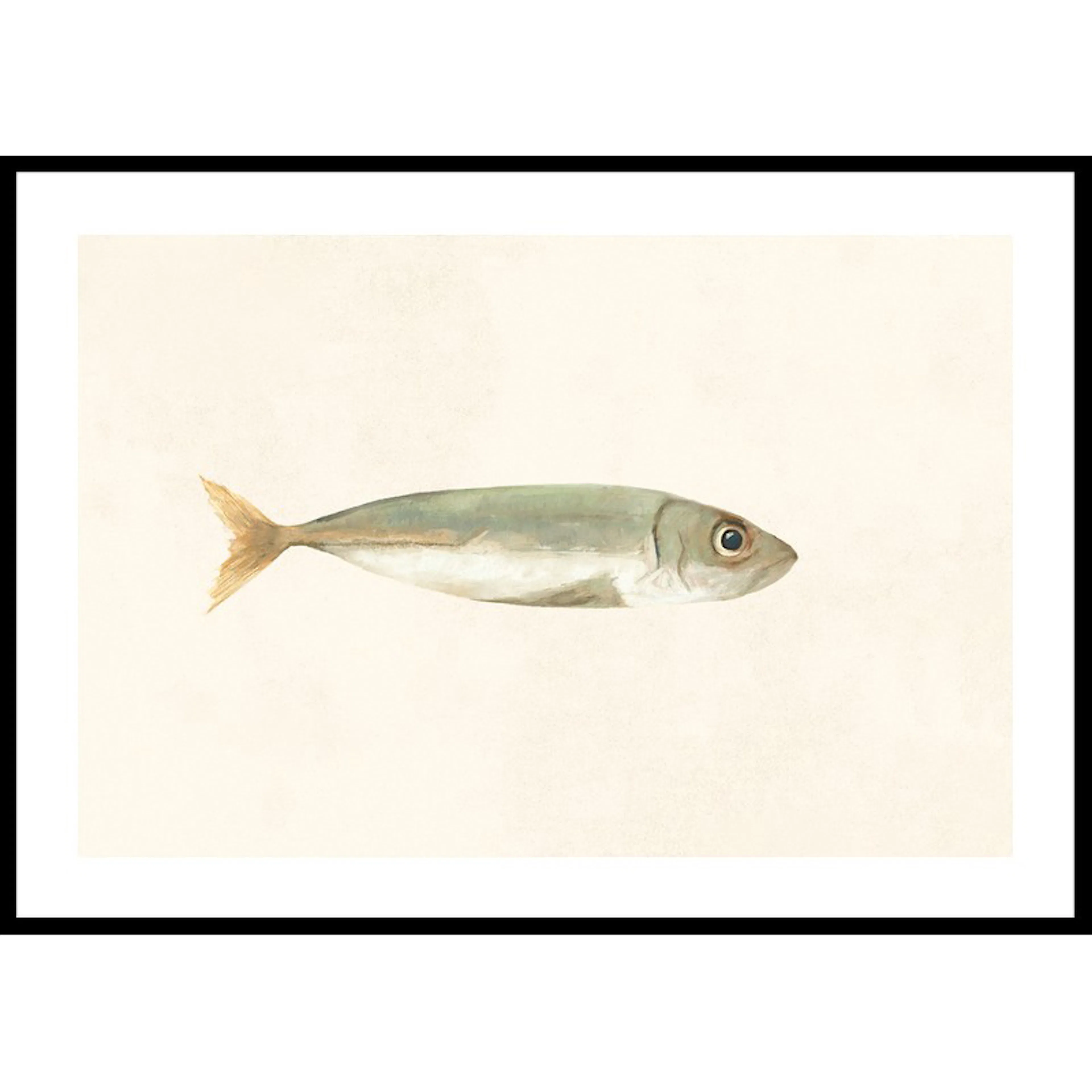 Poster Gallerix Colored Sardine