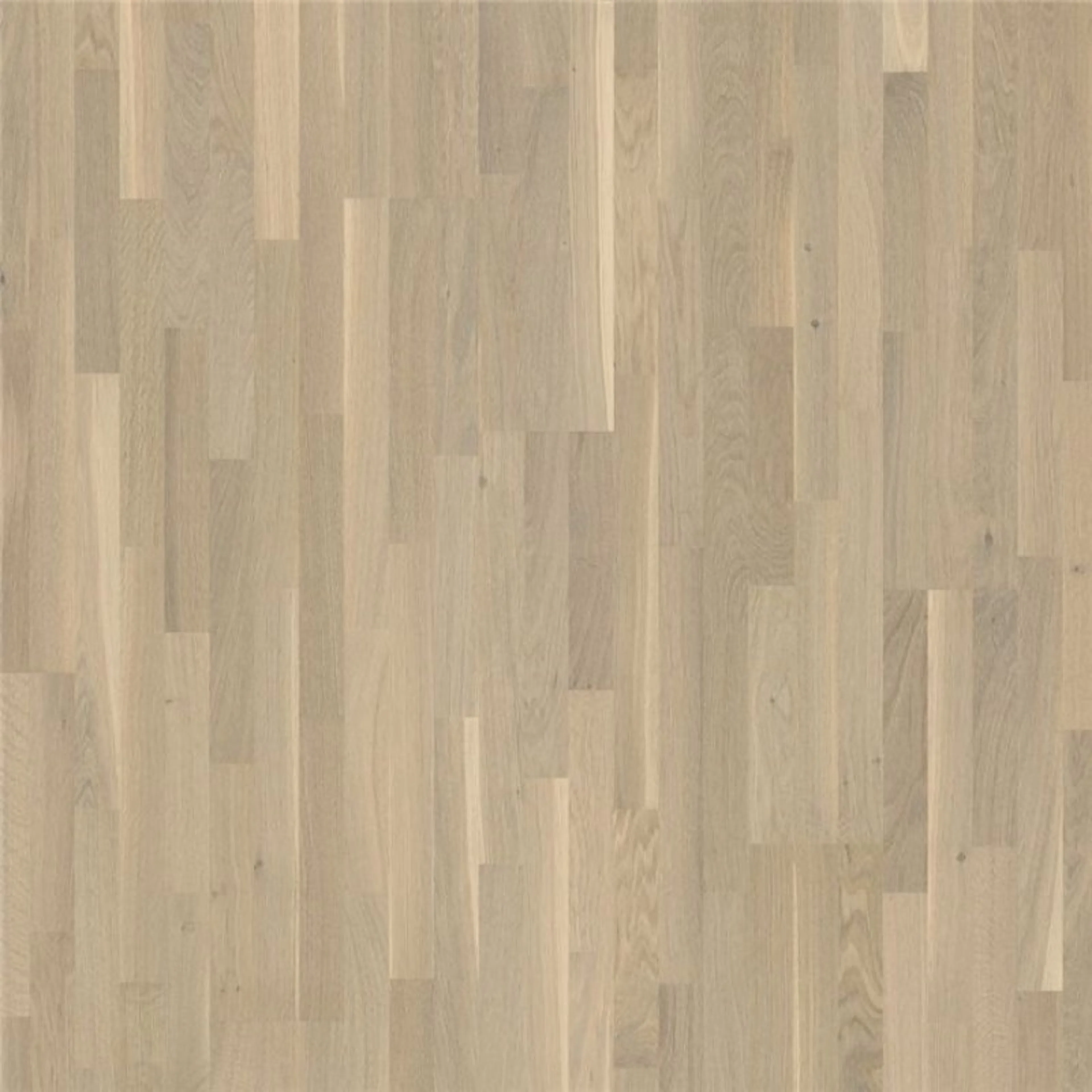 Trägolv Pergo Senja Northern Light Oak Mattlackat 3-Stavs Parkettgolv