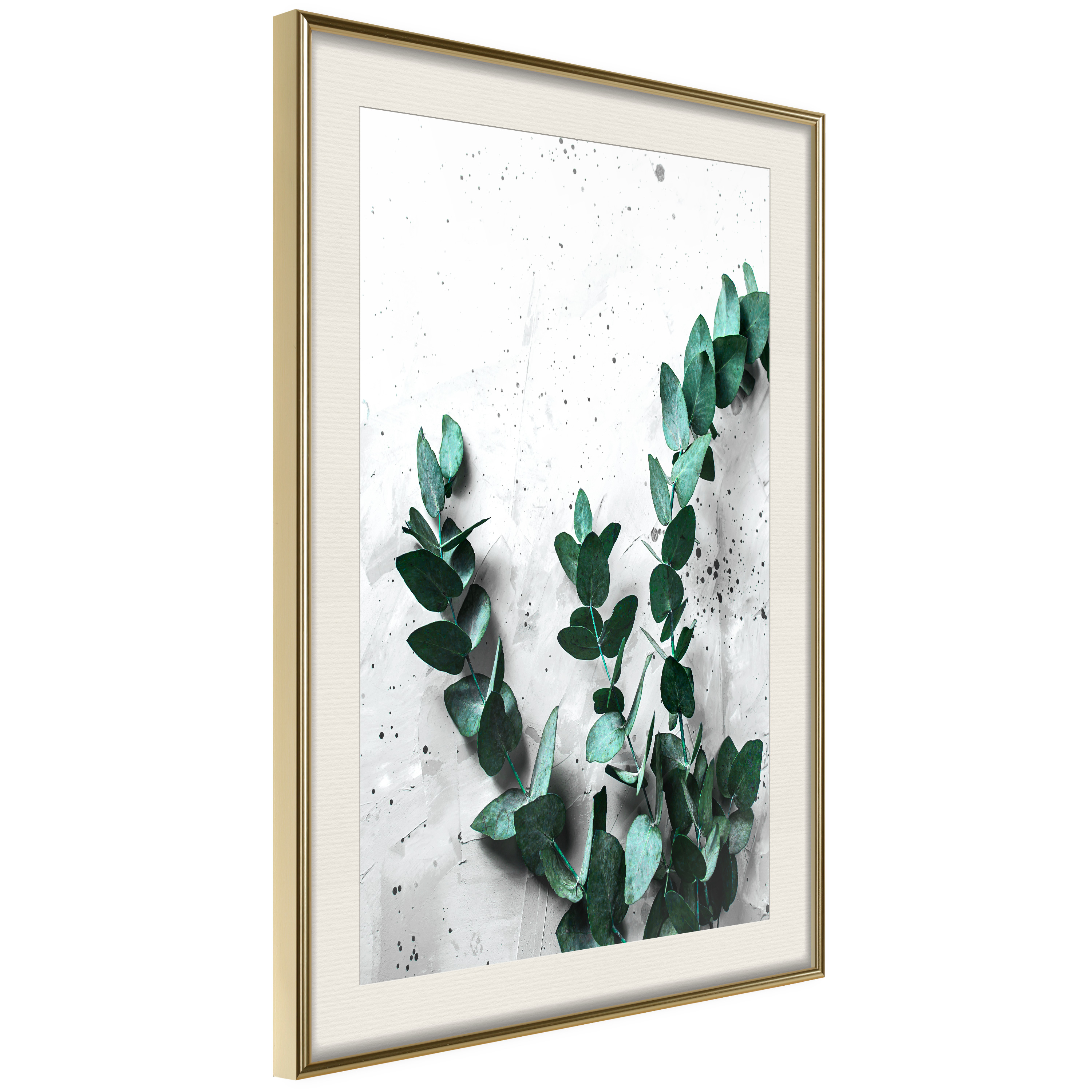 Affisch - Eucalyptus Scent [Poster] 30x45 Guld ram med passepartout, 30x45 cm