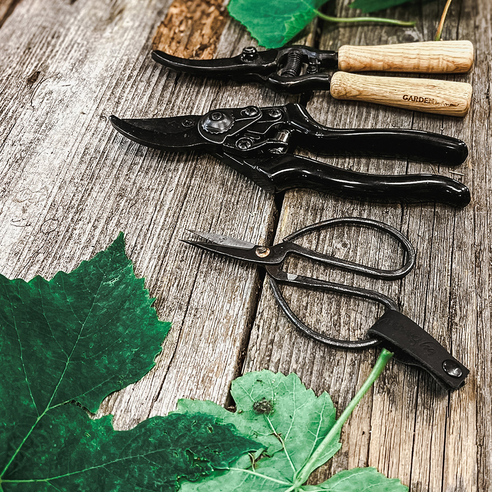 Sekatör by Benson Basic