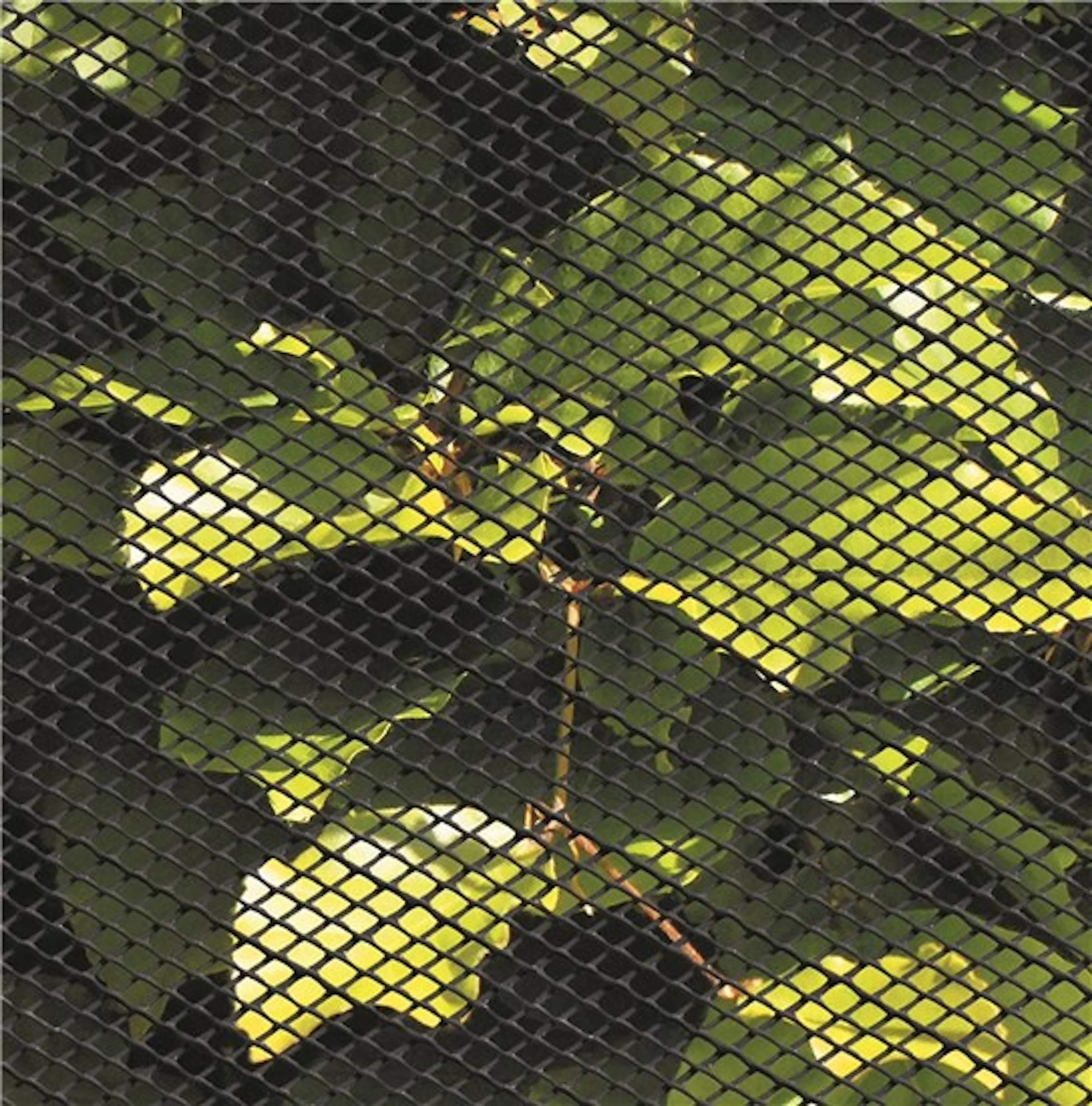 Insektsnät Hortus Plast