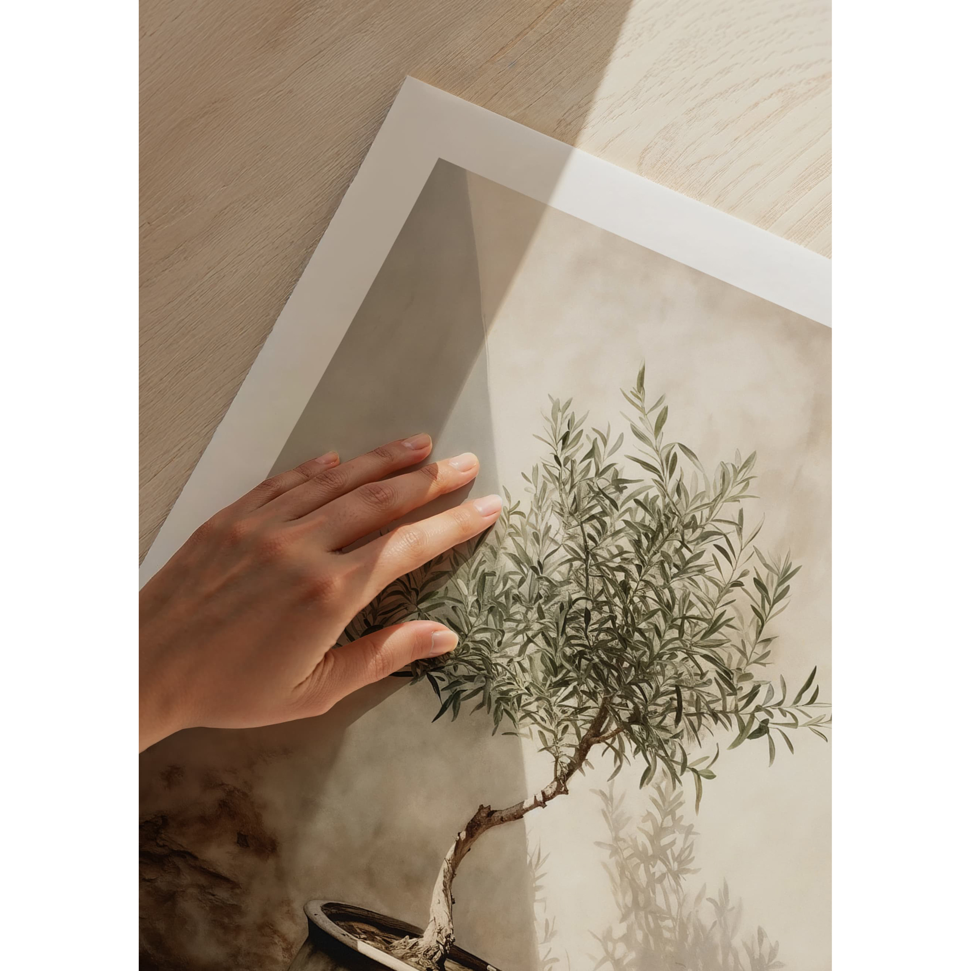Poster Gallerix Olive Tree Mediterranean No1
