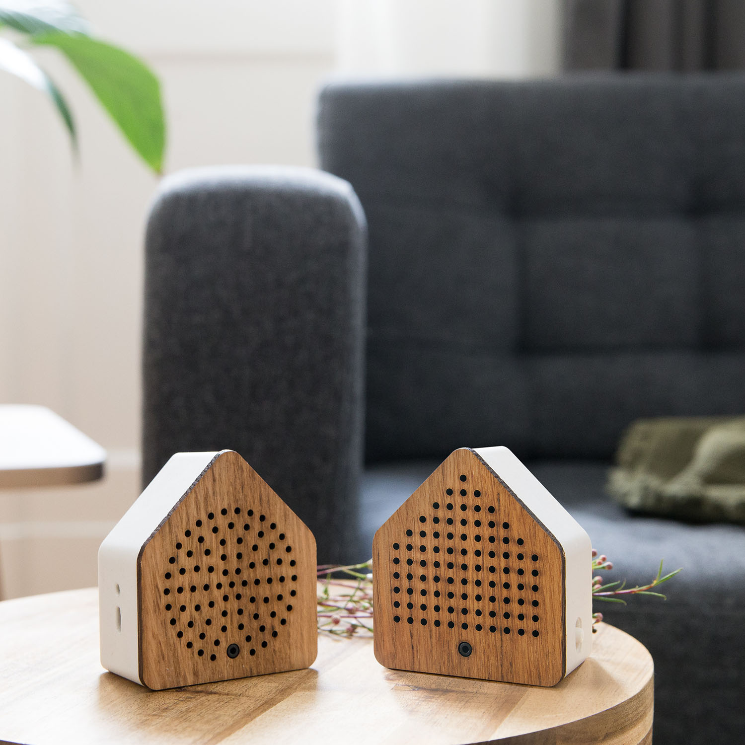 Zirpybox Speldosa 2-pack Gräshoppa Trä Gräshoppa/Trä