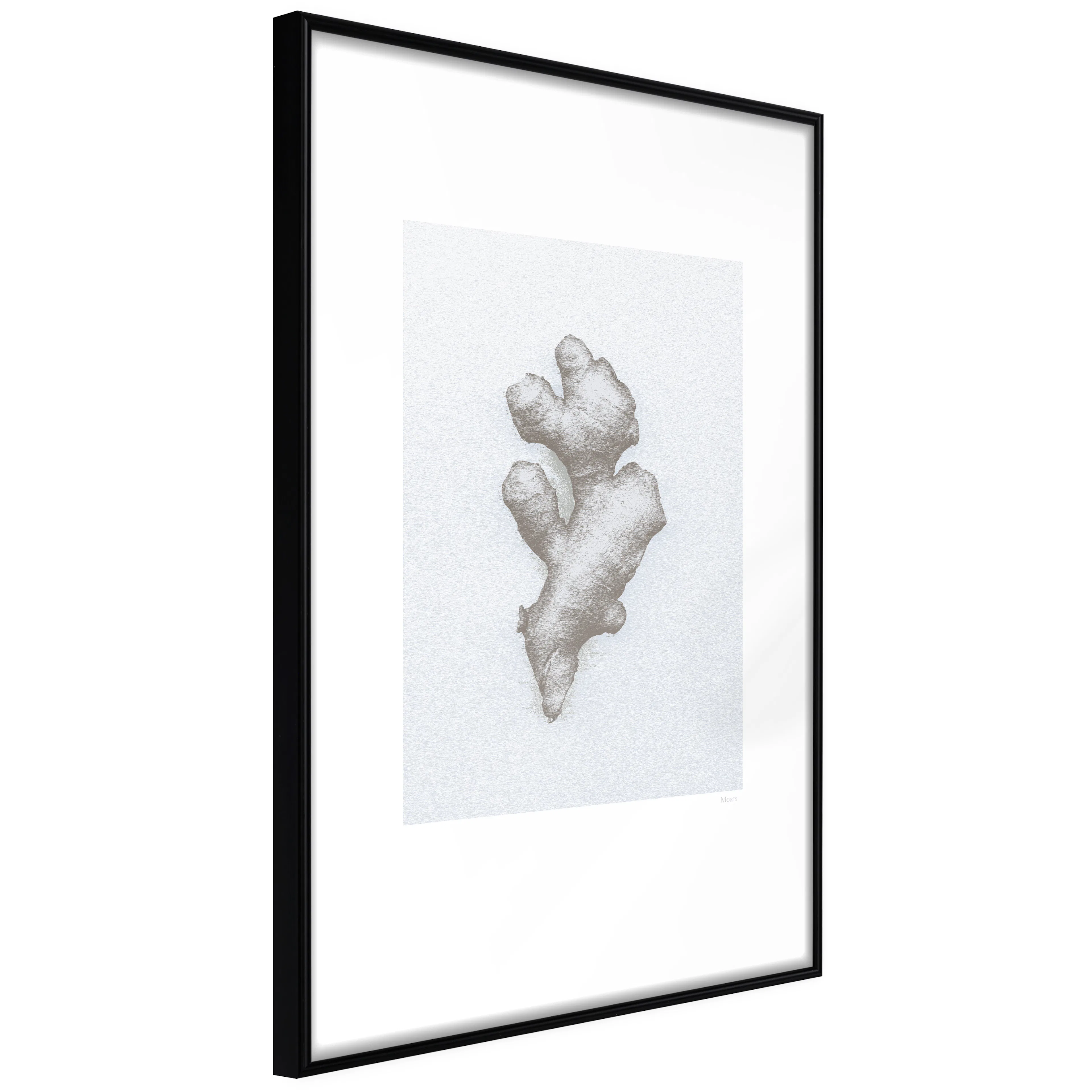 Affisch - Ginger [Poster] 40x60 Svart ram, 40x60 cm