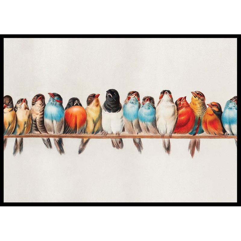 Poster Gallerix Birds In A Row Landscape