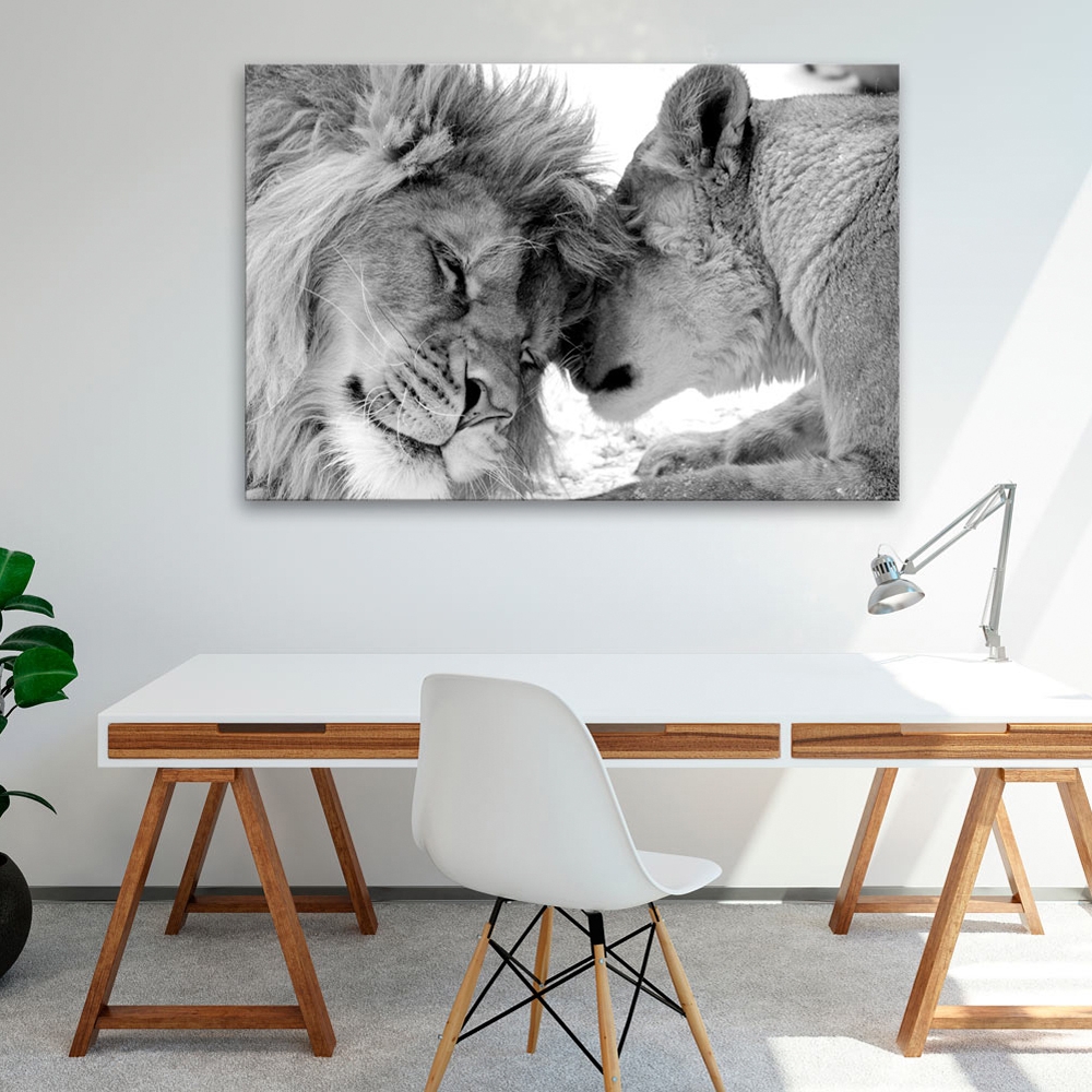 Tavla Arkiio Lion's Love