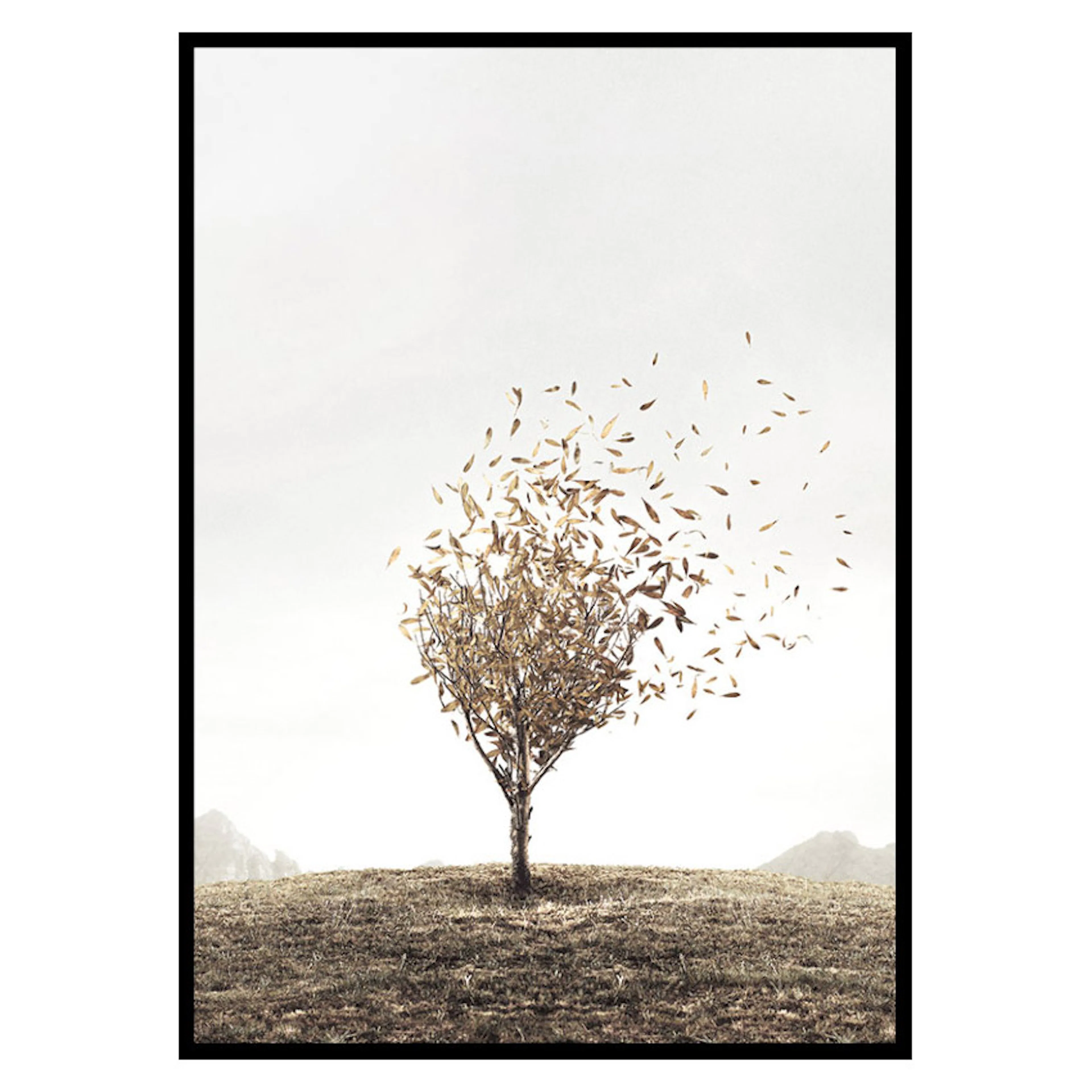 Poster Gallerix Blowing Away