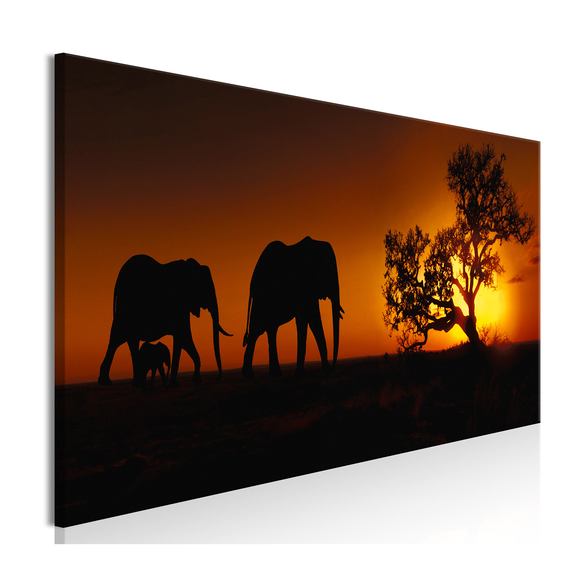 Tavla Arkiio Elephant Family