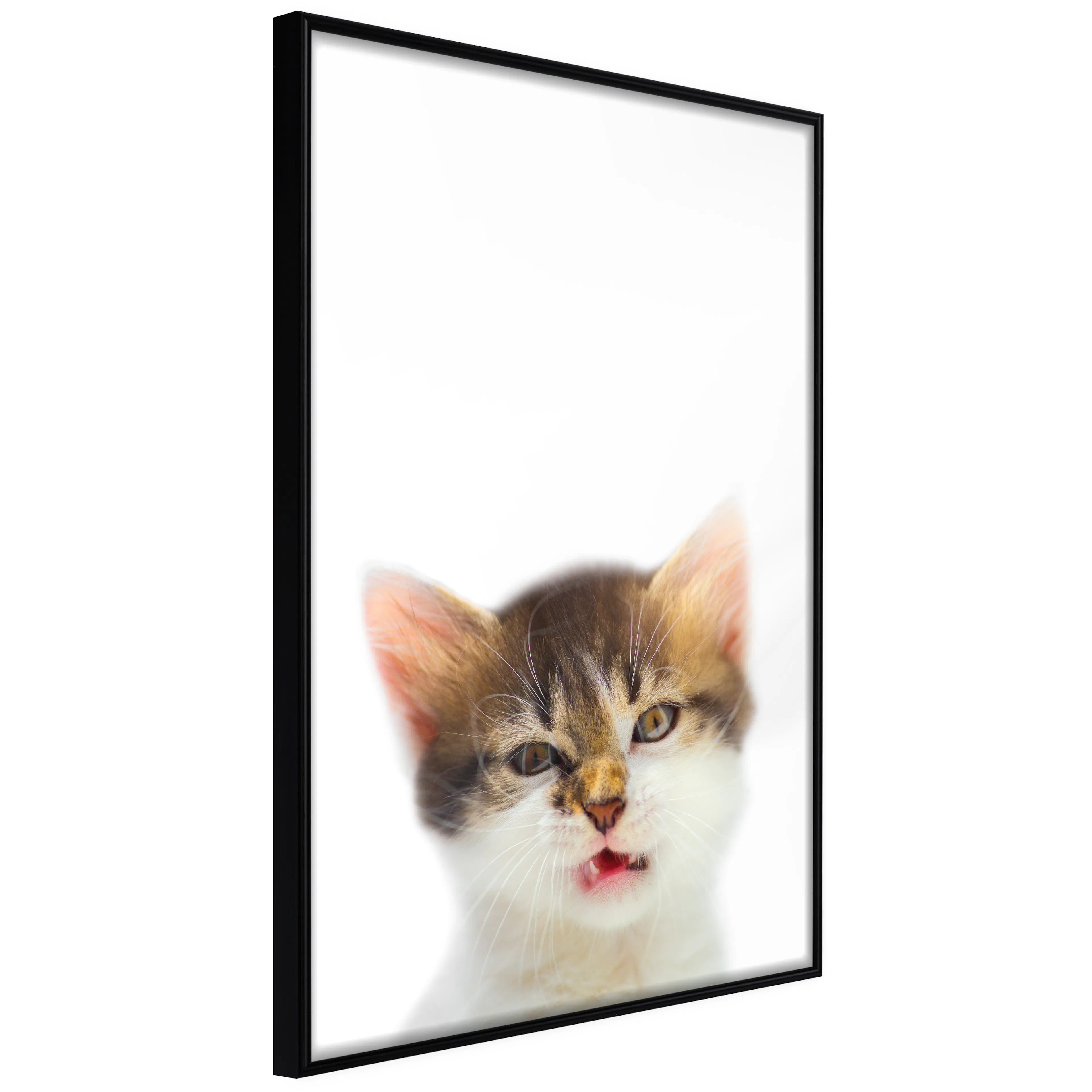 Affisch - Vexed Cat [Poster] 40x60 Svart ram, 40x60 cm