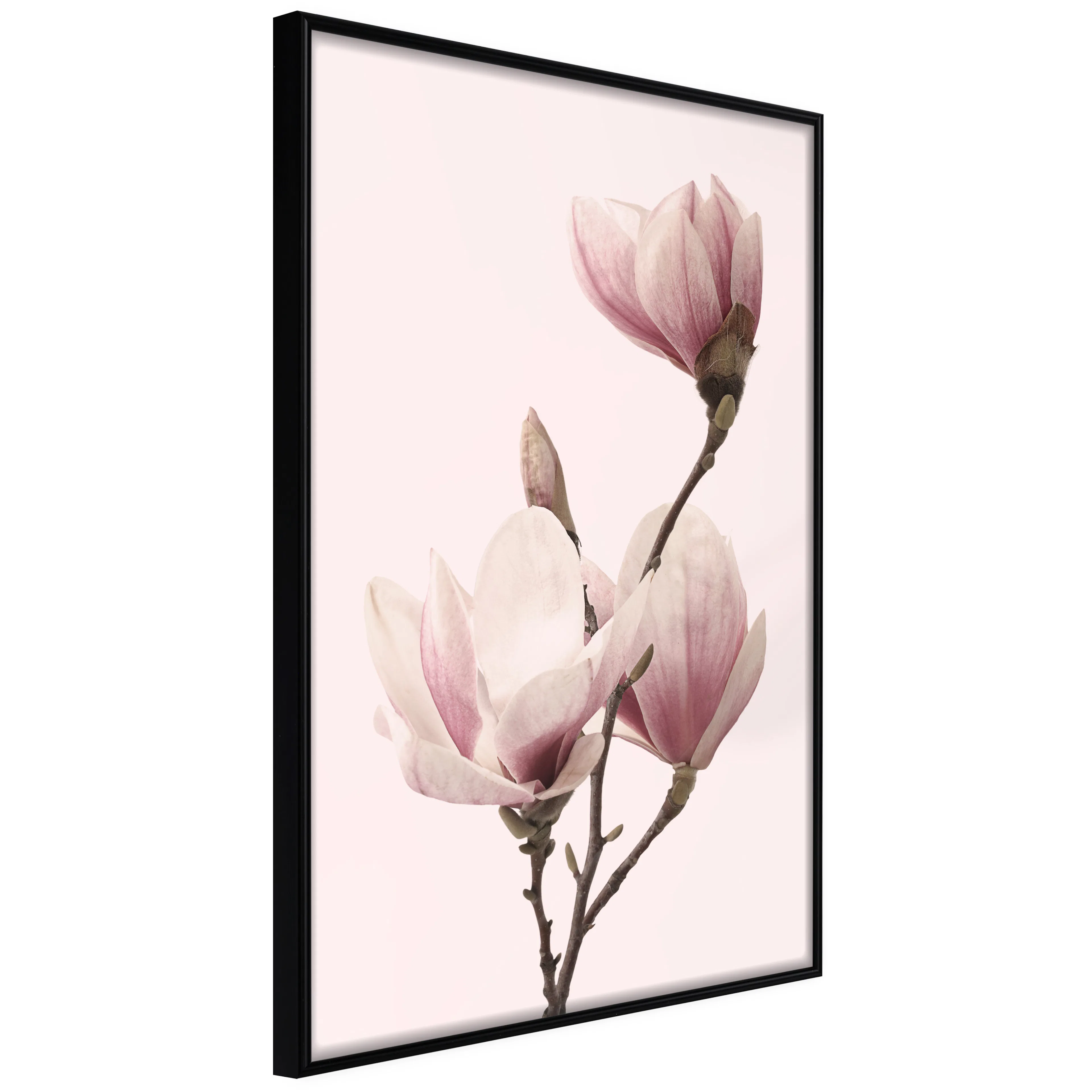 Affisch - Seasonal Flowers [Poster] 40x60 Svart ram, 40x60 cm