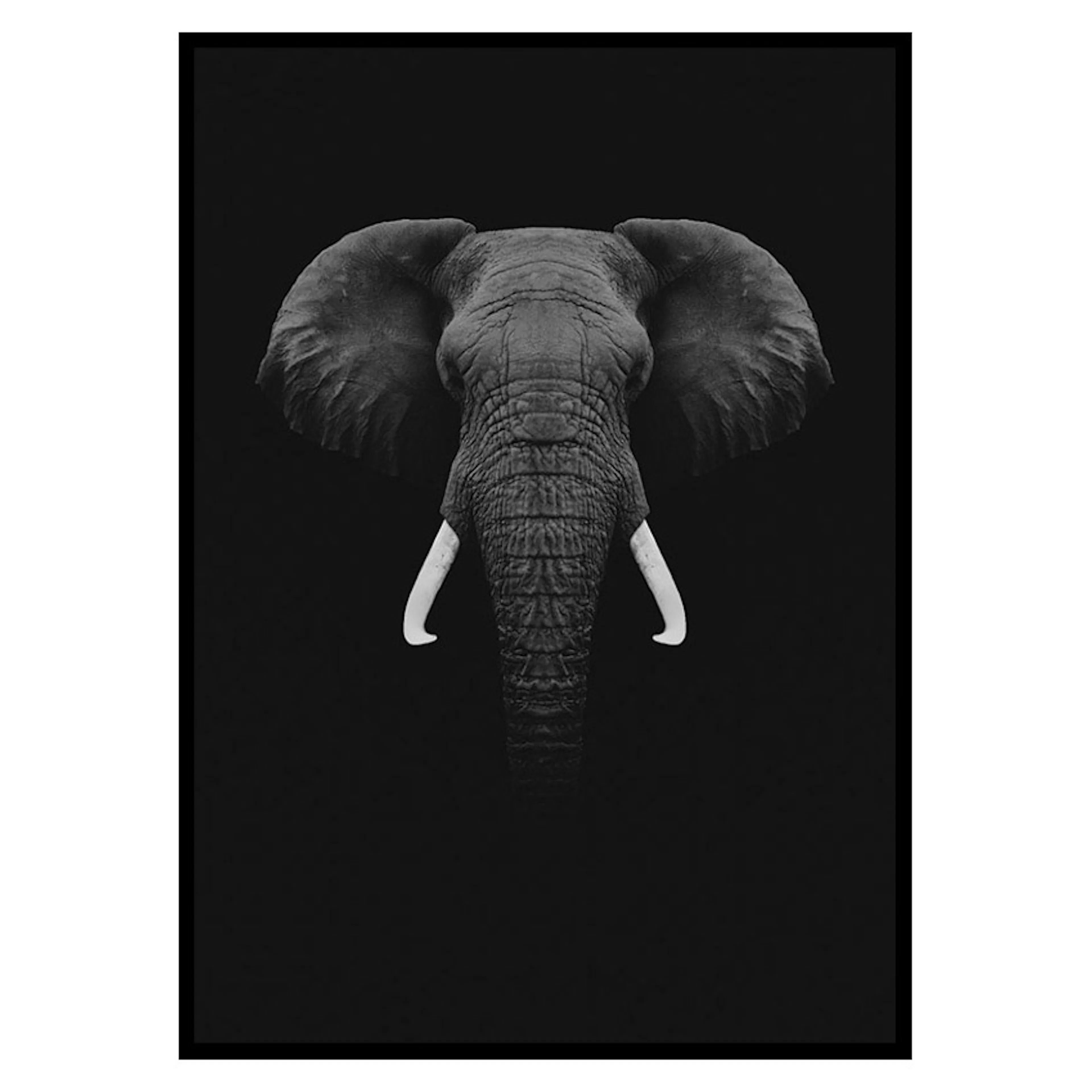 Poster Gallerix Black Elephant