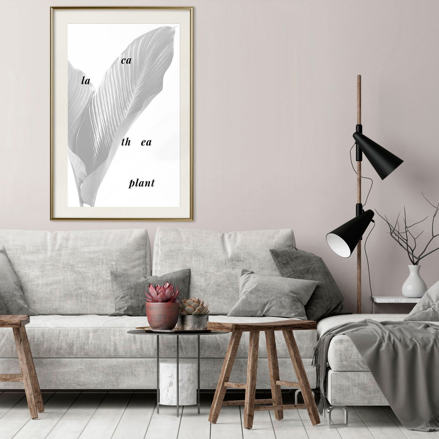 Poster Artgeist Affisch Calathea Plant