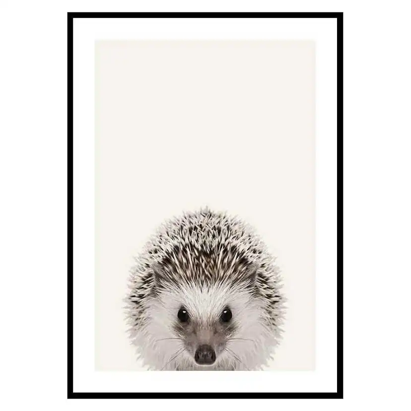 Poster Gallerix Baby Hedgehog