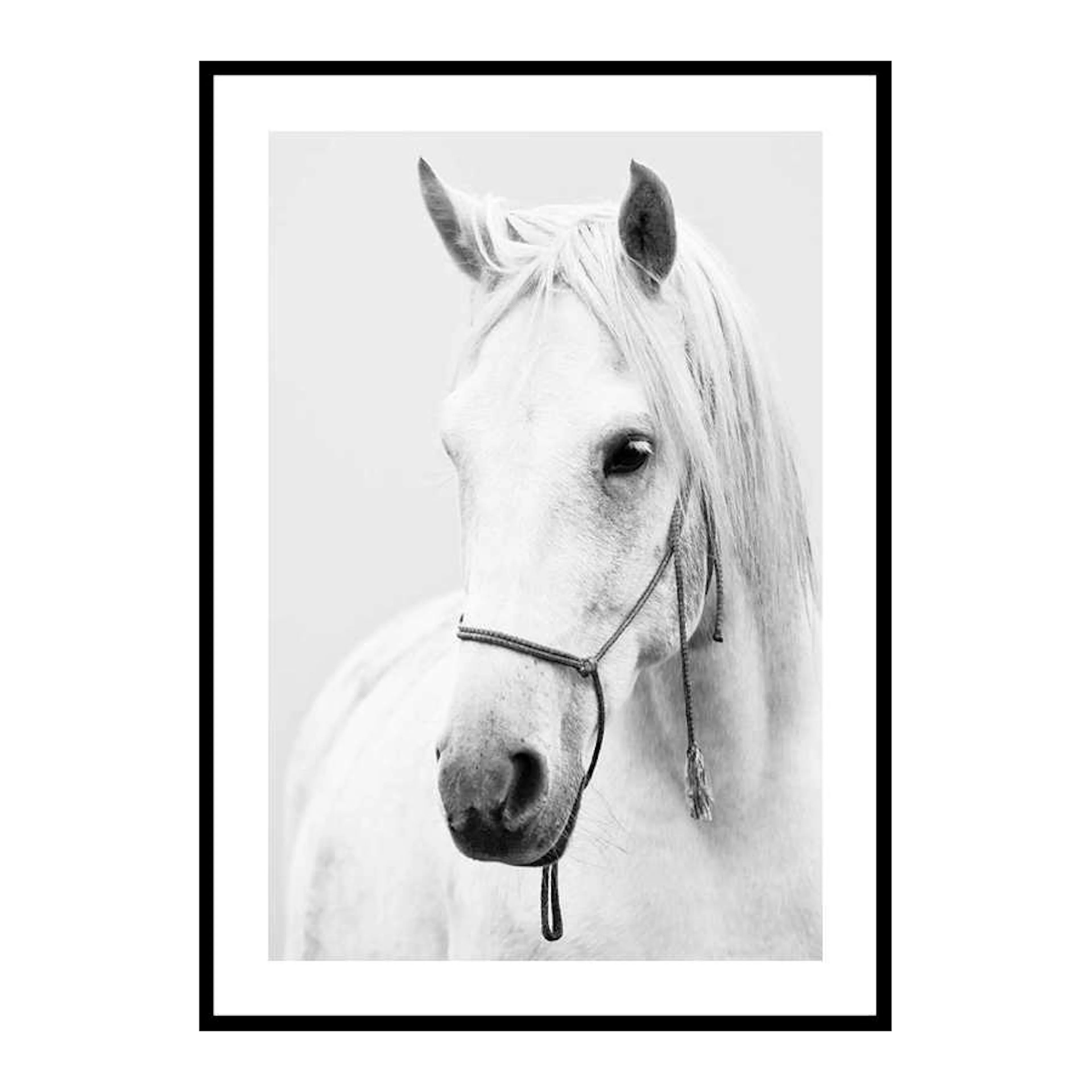 Shadowfax 50x70 cm